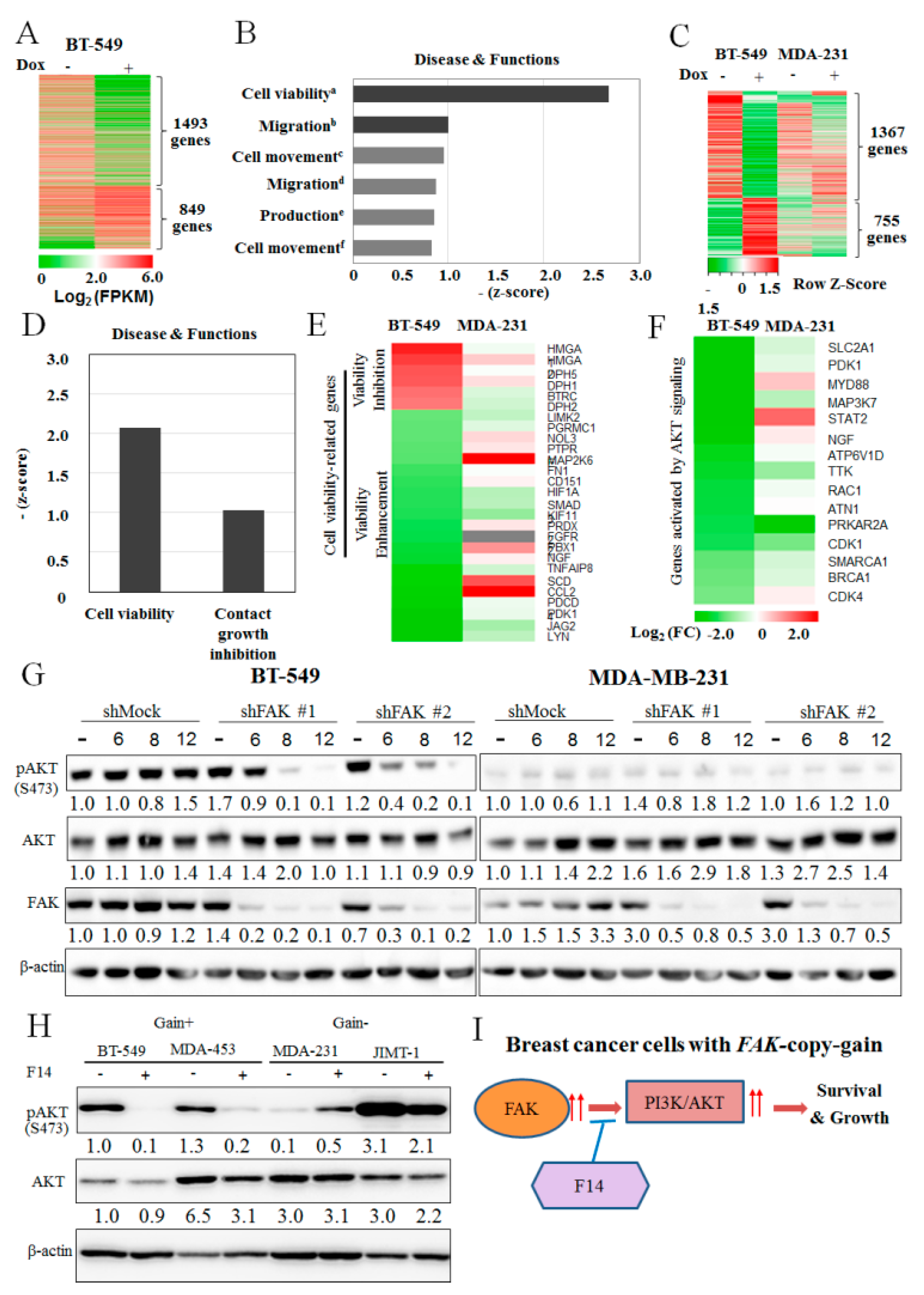 Cancers 11 01288 g004