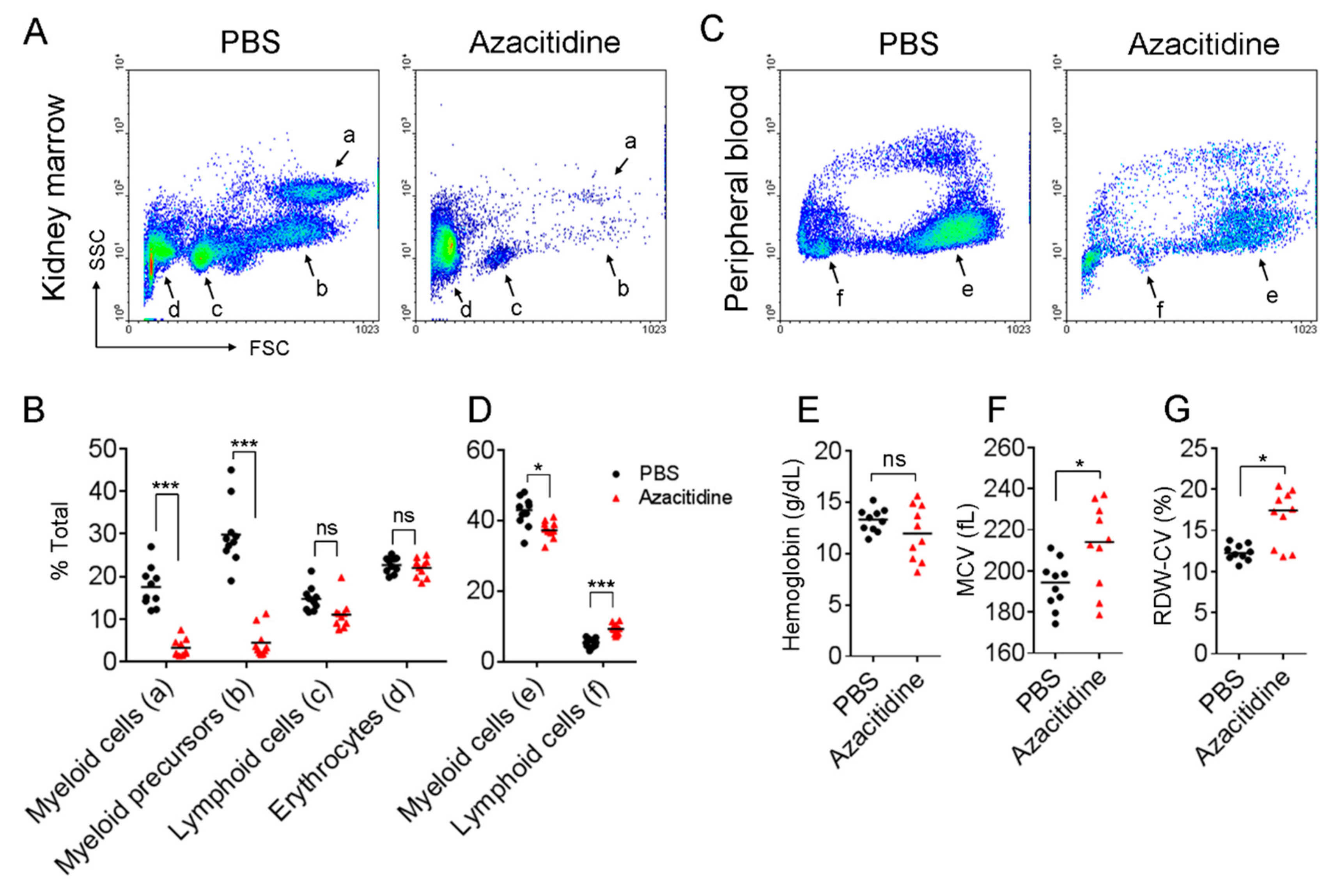 Cancers 11 01294 g001