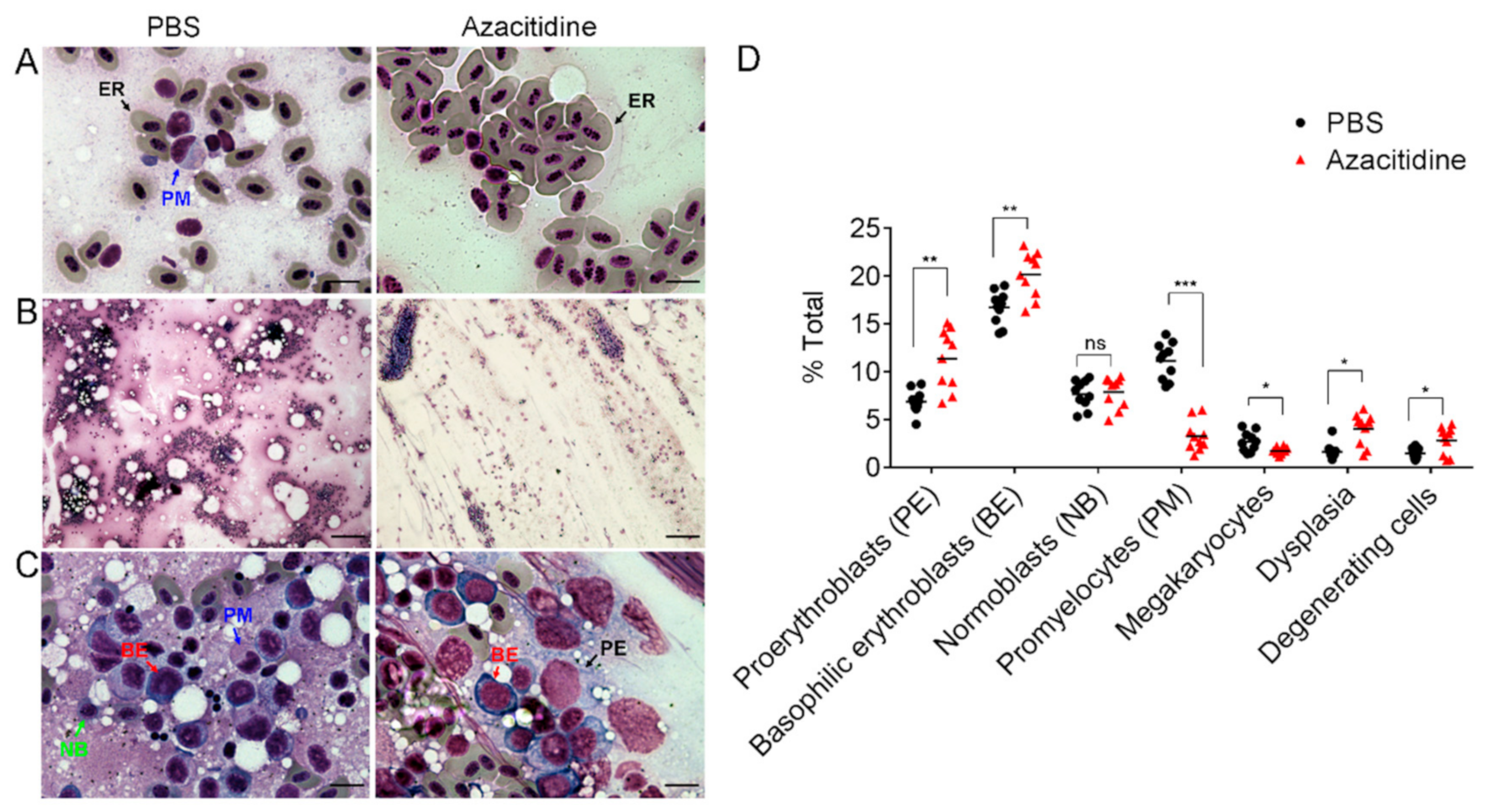 Cancers 11 01294 g002
