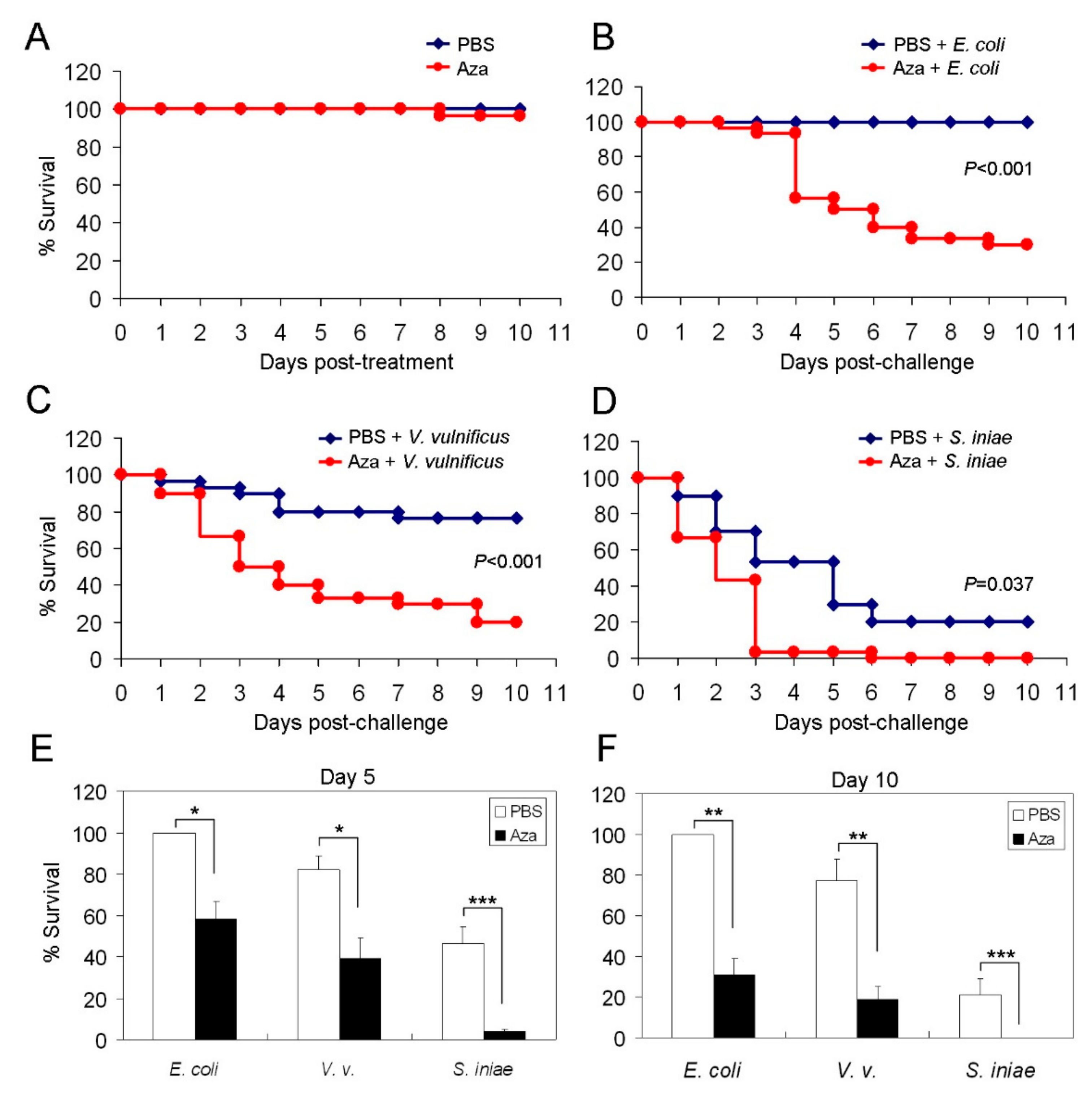 Cancers 11 01294 g004