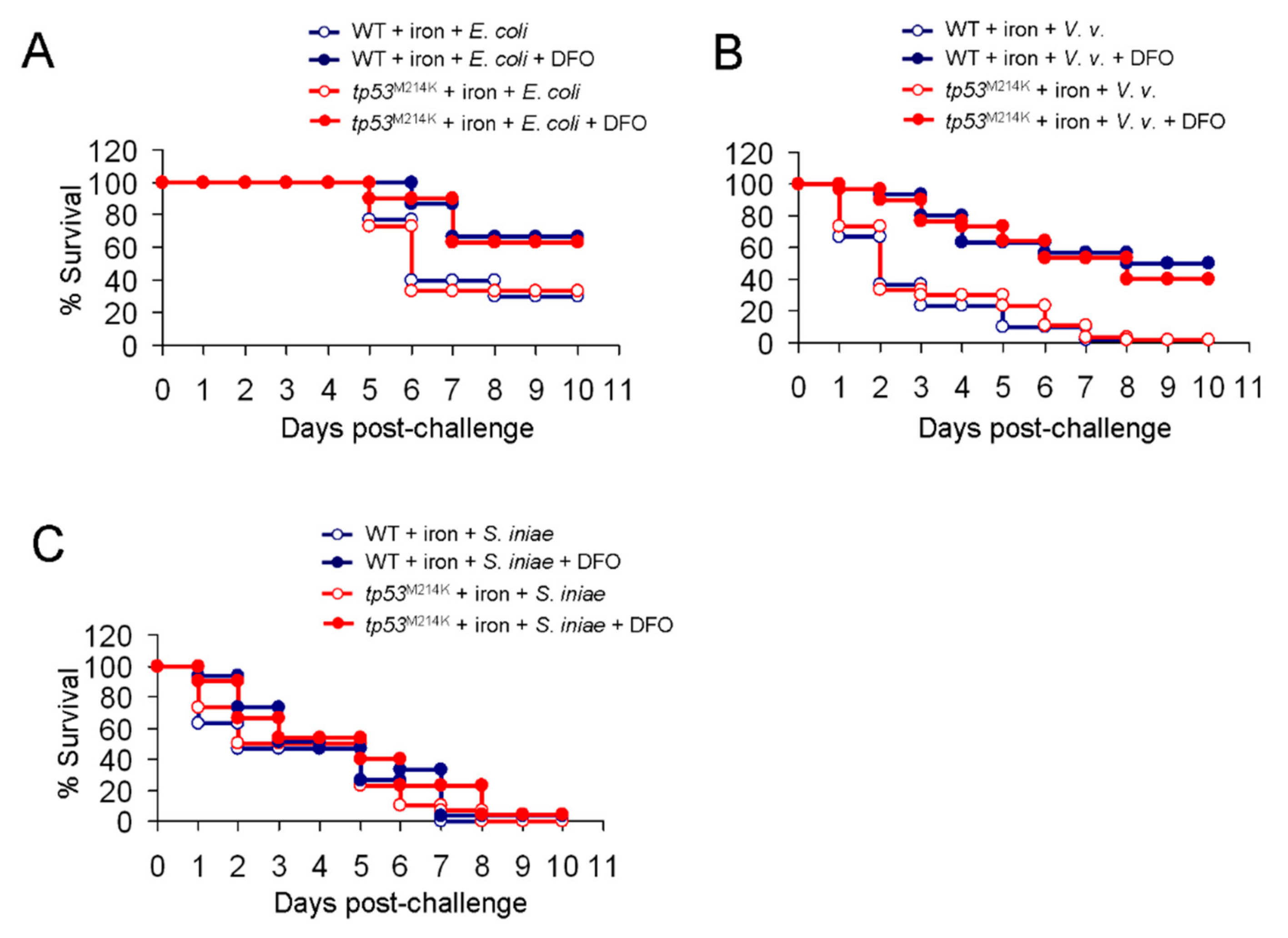 Cancers 11 01294 g007