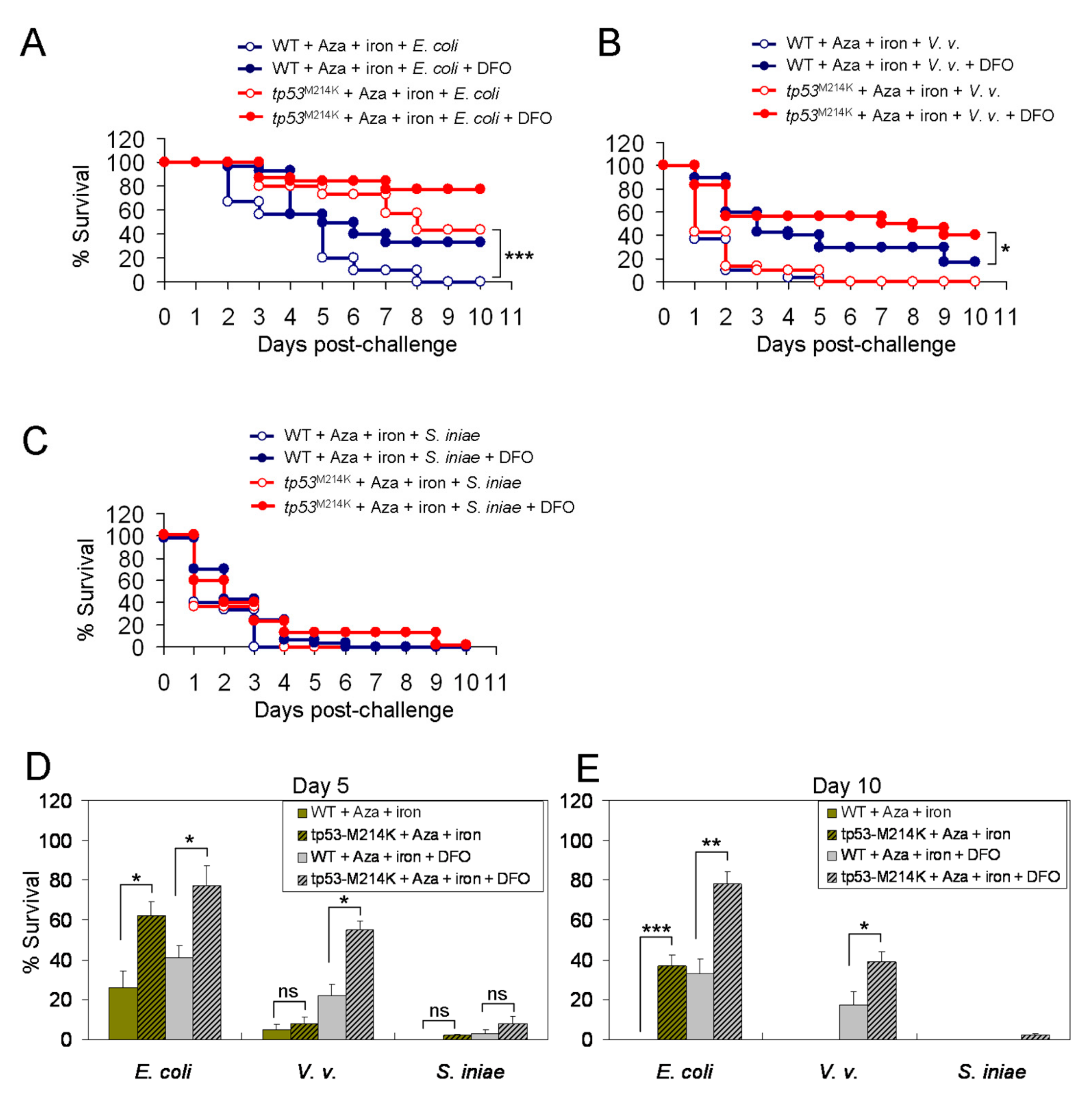 Cancers 11 01294 g008