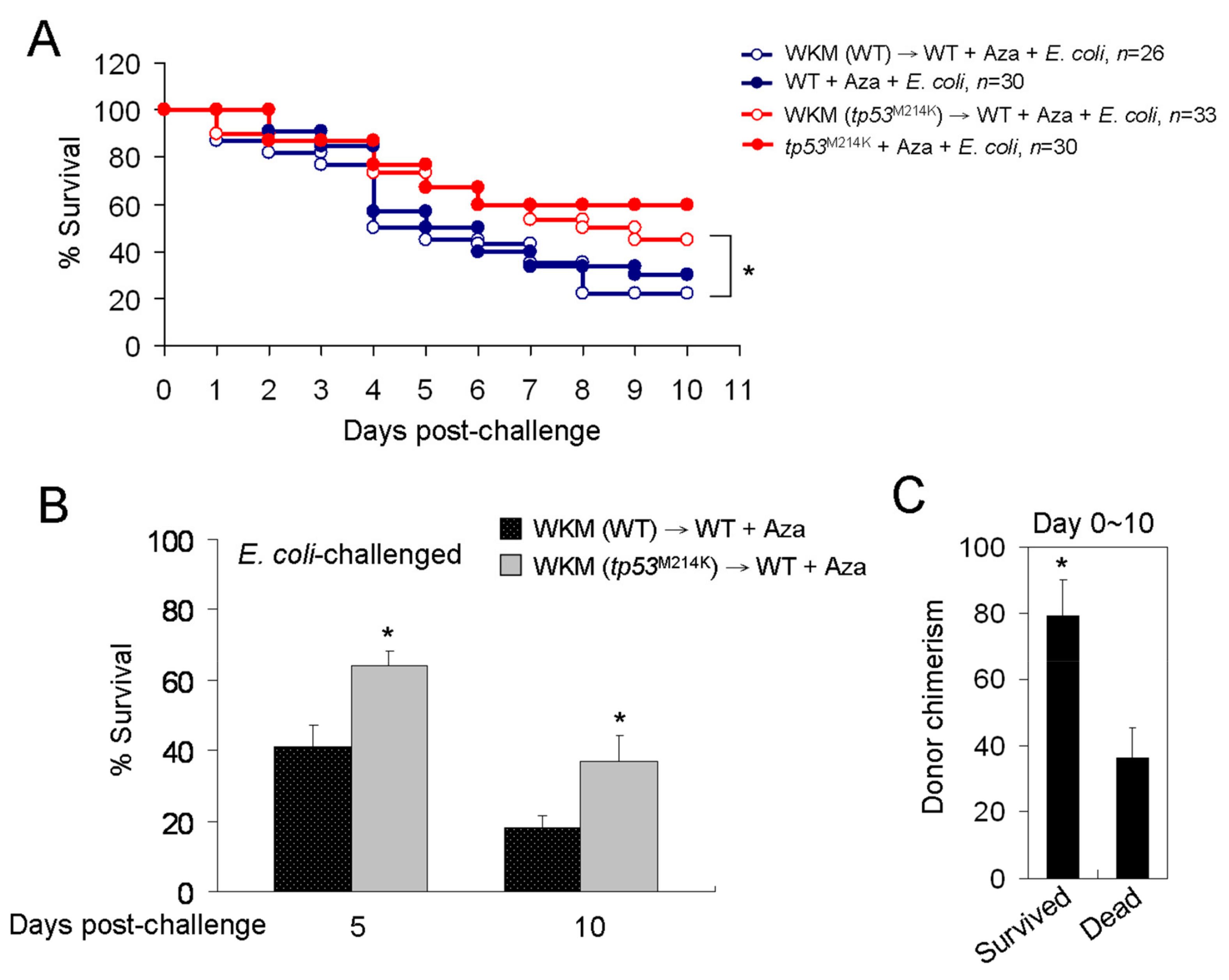 Cancers 11 01294 g009