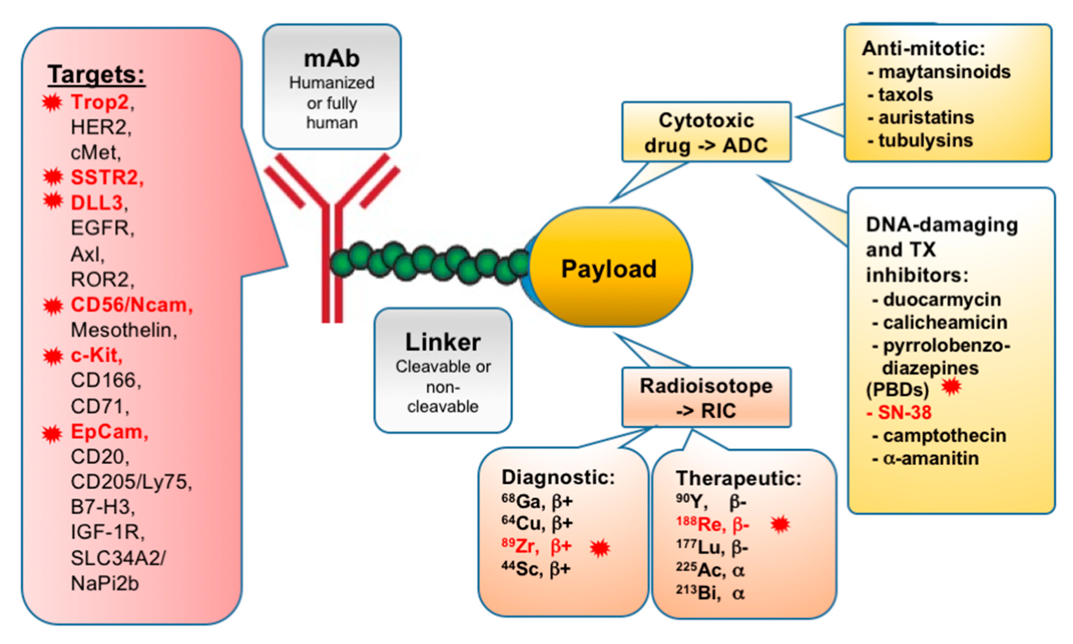 Cancers 11 01297 g001