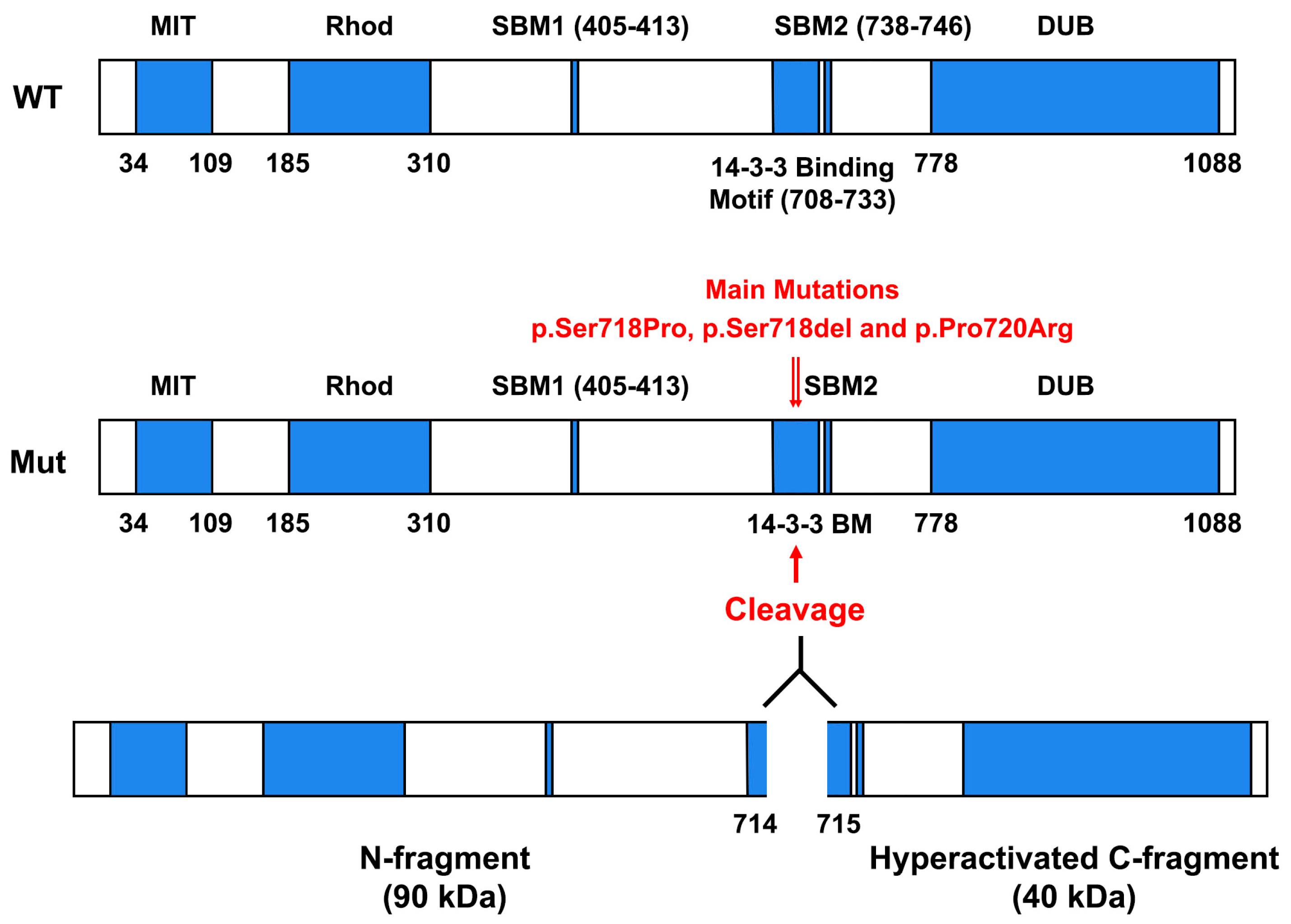 Cancers 11 01302 g001