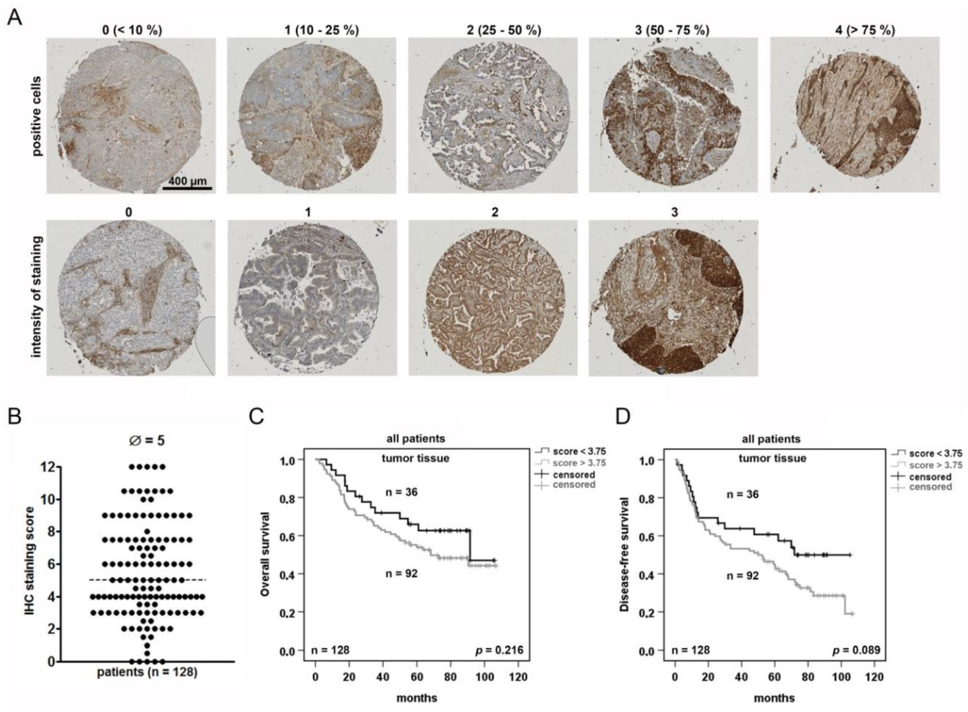 Cancers 11 01306 g002