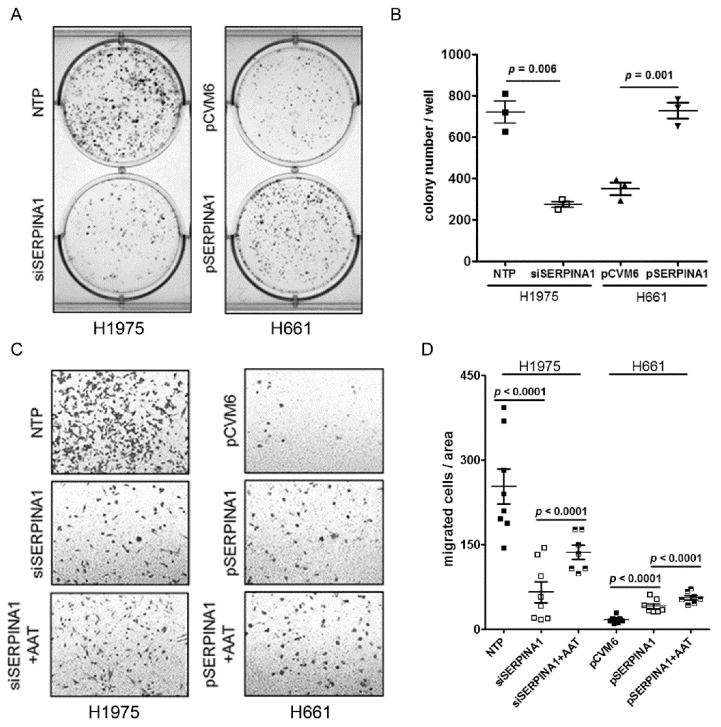 Cancers 11 01306 g006a