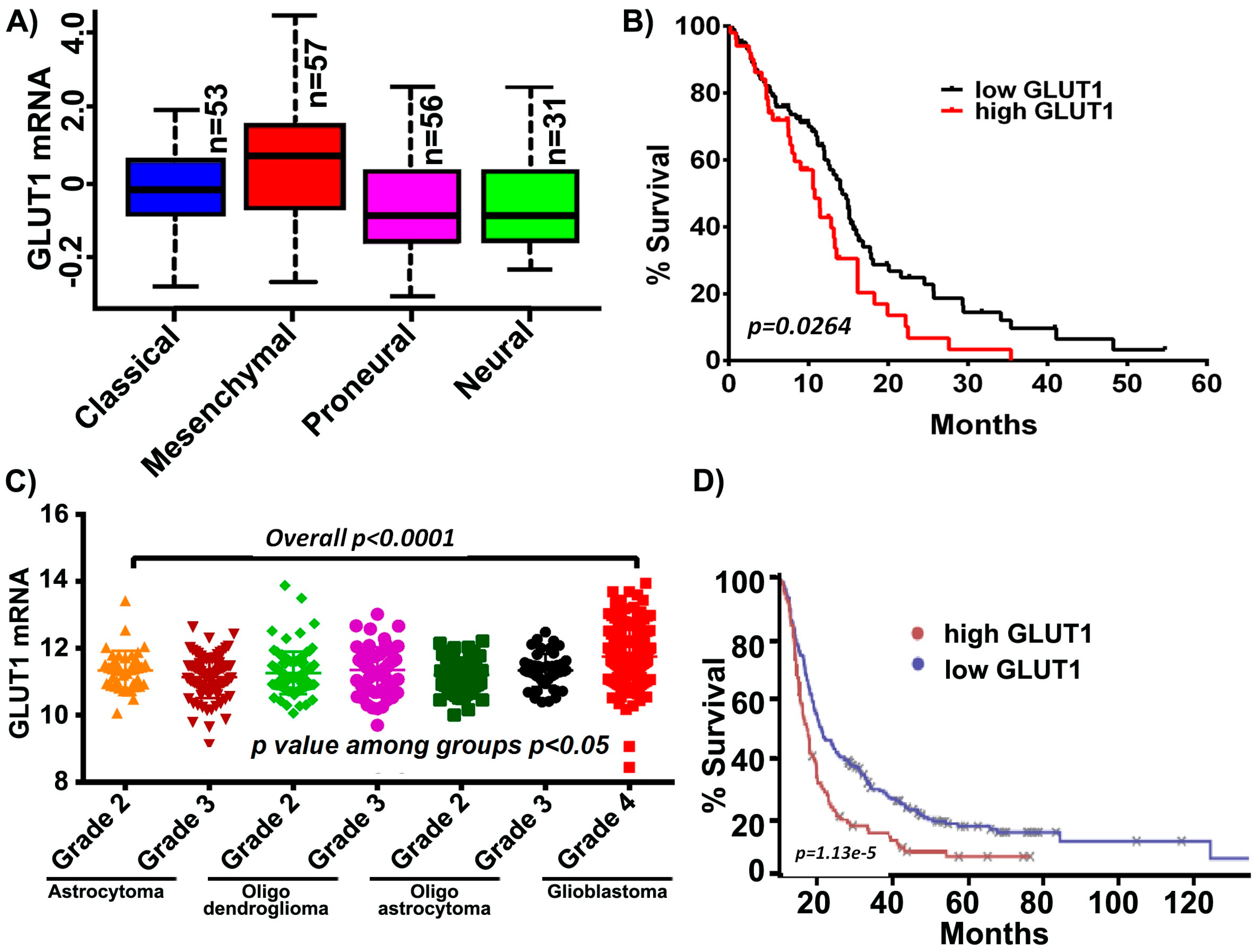 Cancers 11 01308 g001