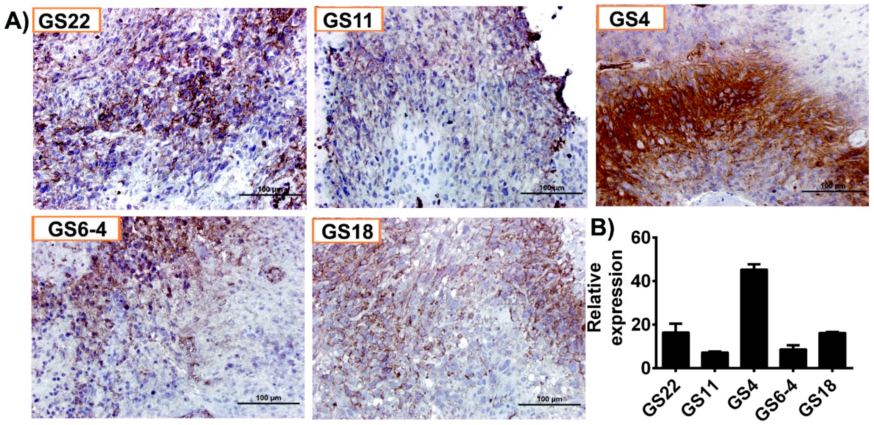 Cancers 11 01308 g002