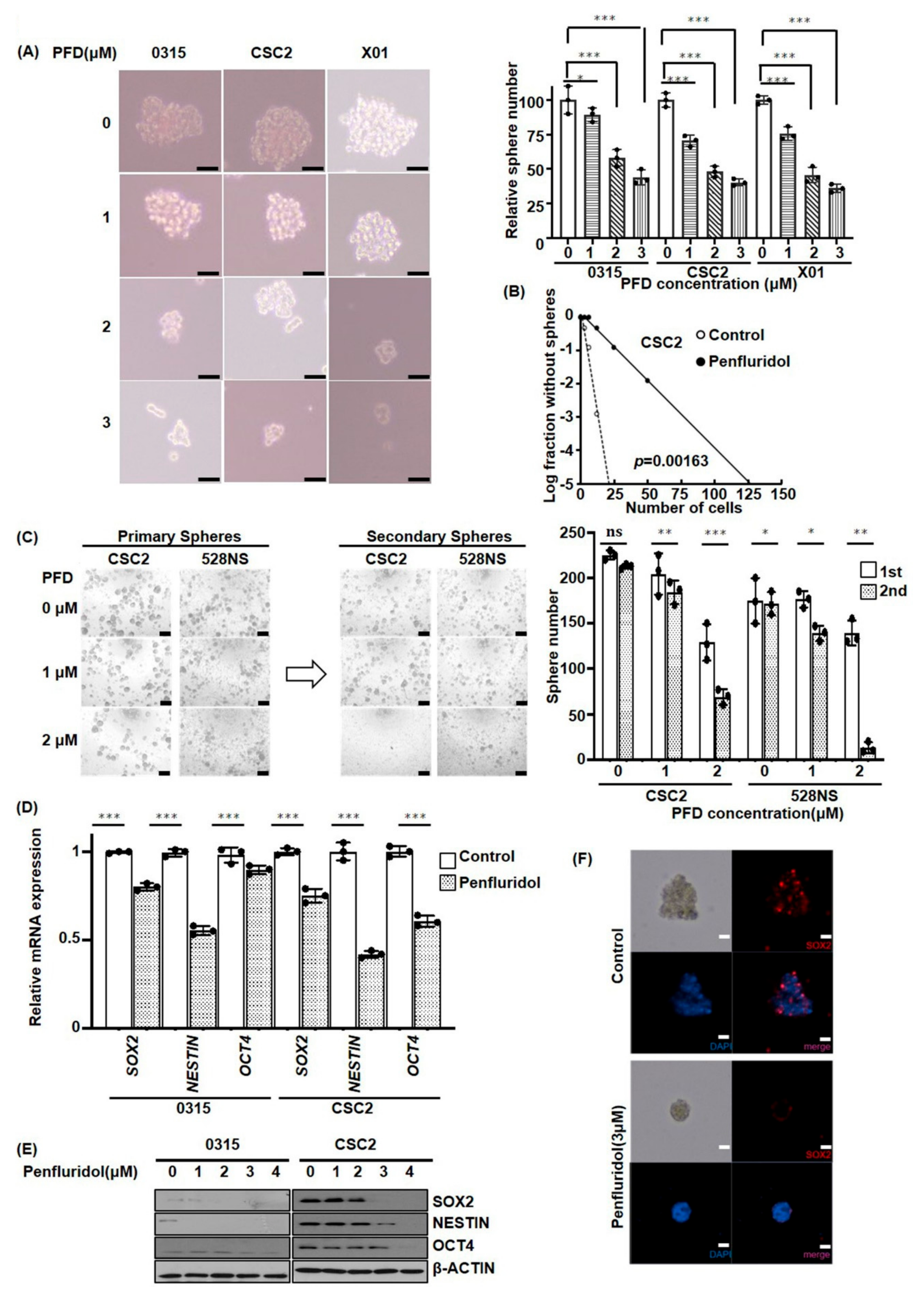 Cancers 11 01310 g002