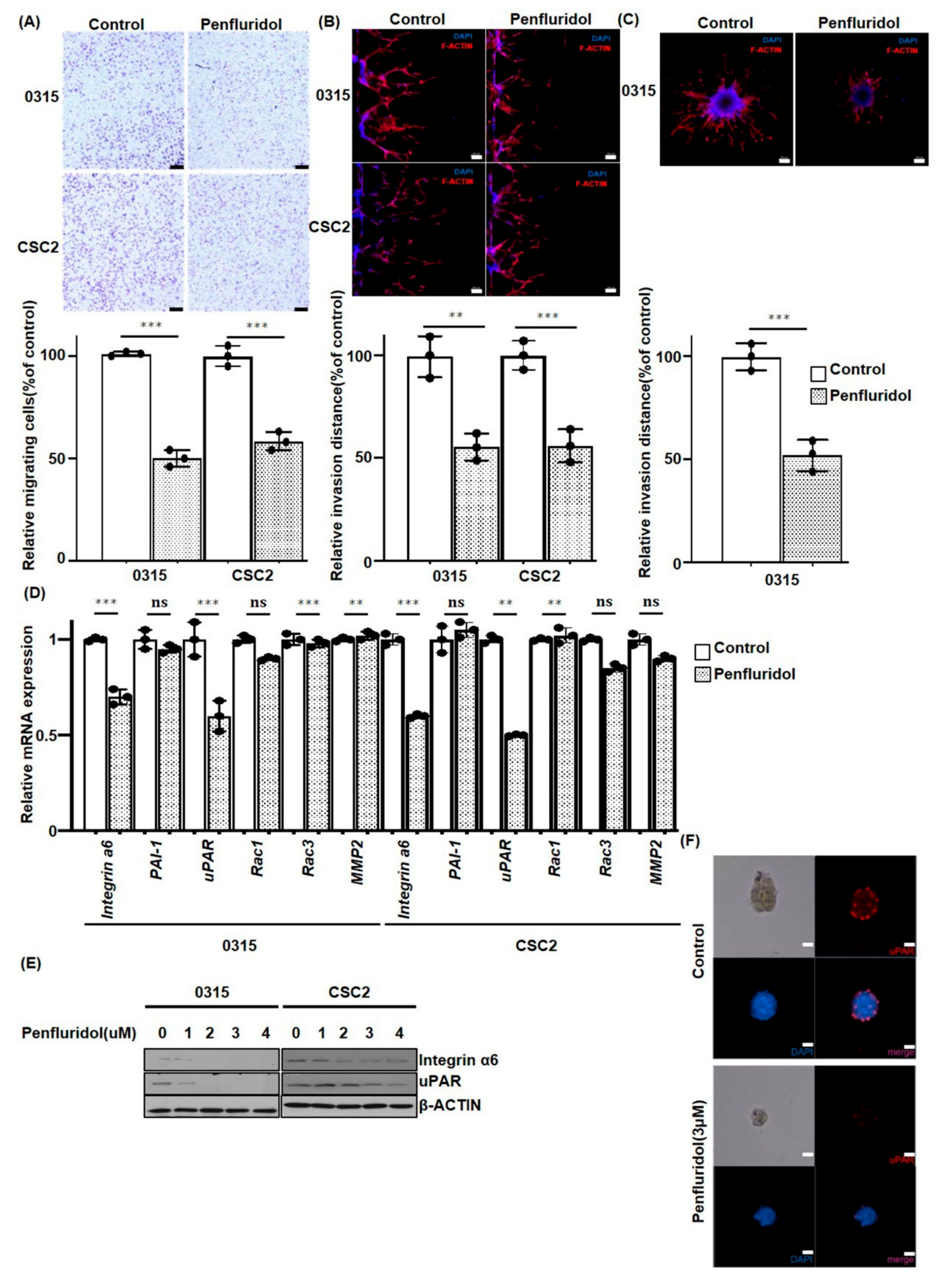 Cancers 11 01310 g003
