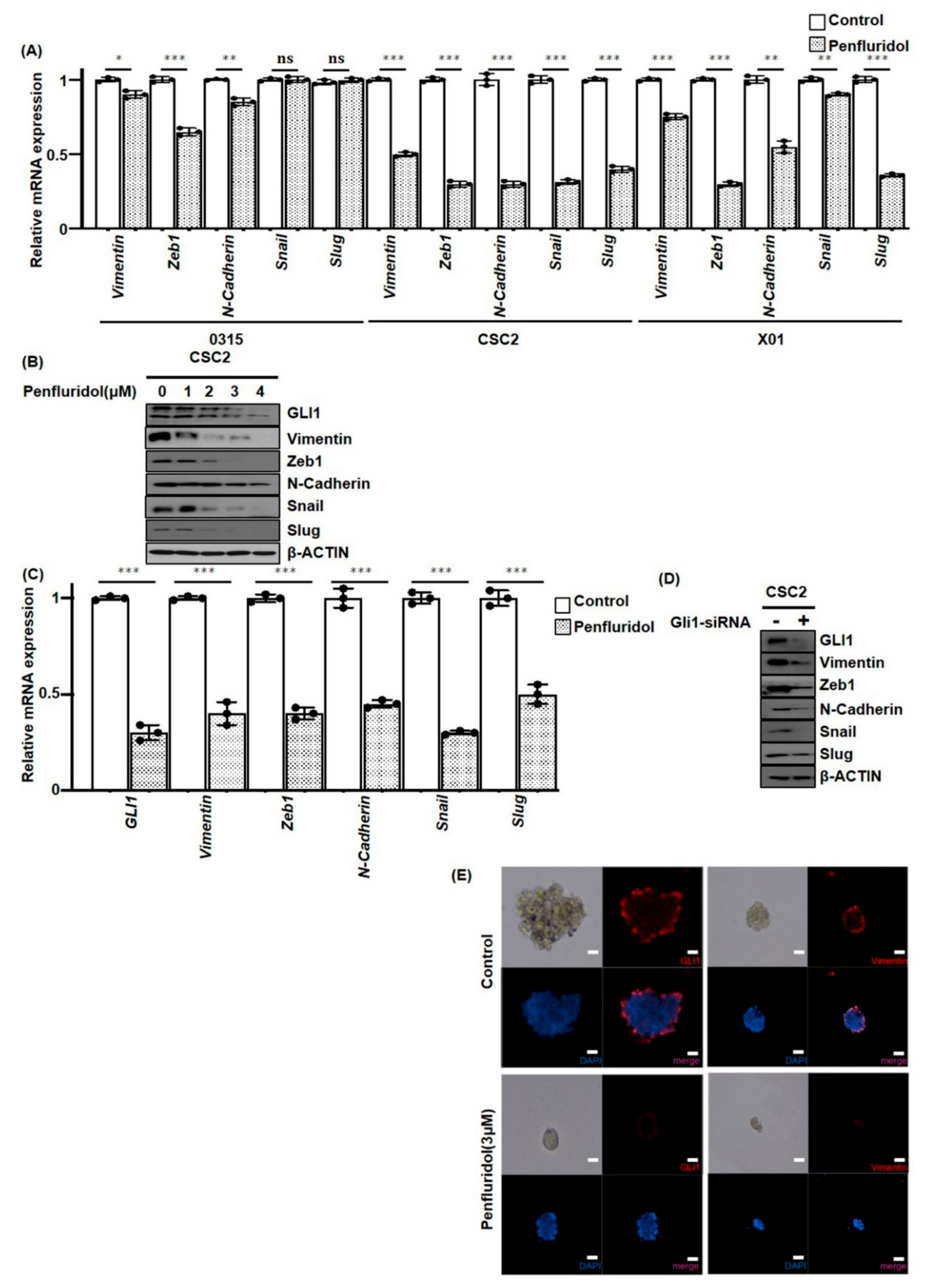 Cancers 11 01310 g004
