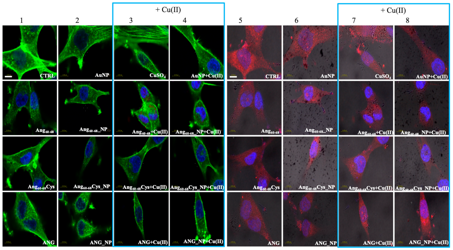 Cancers 11 01322 g004