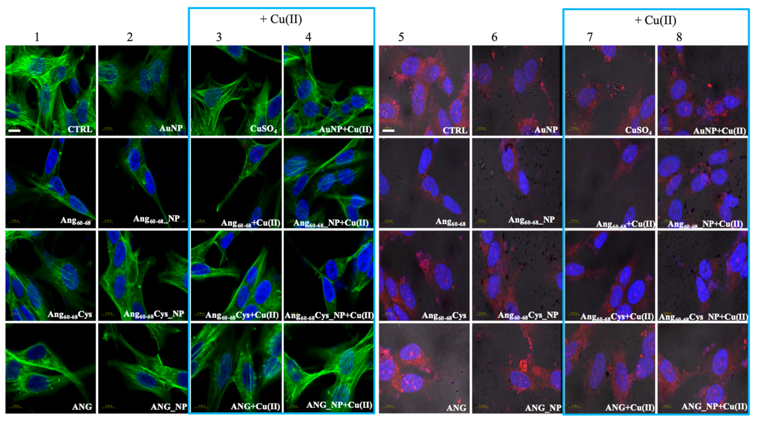Cancers 11 01322 g005