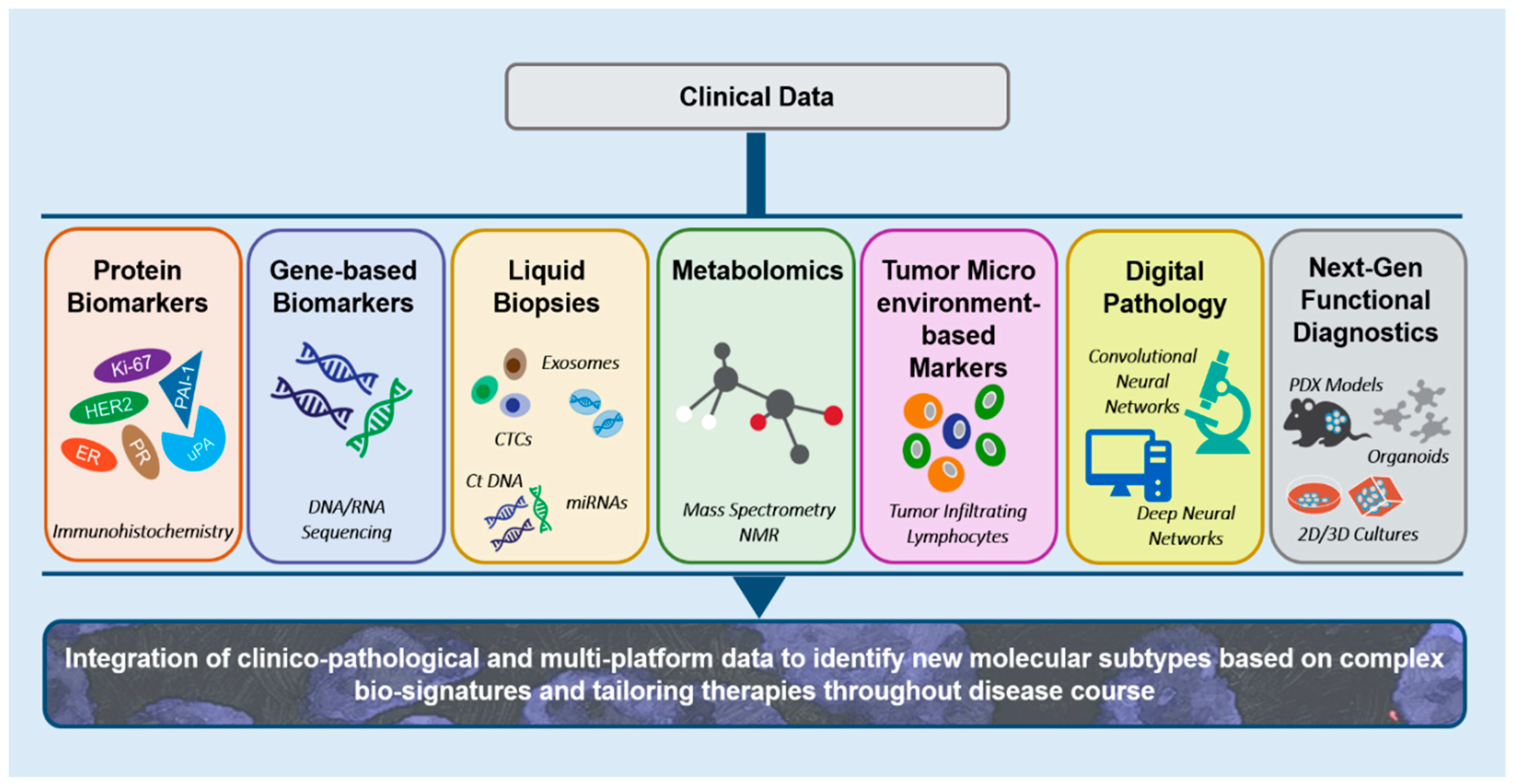 Cancers 11 01325 g001