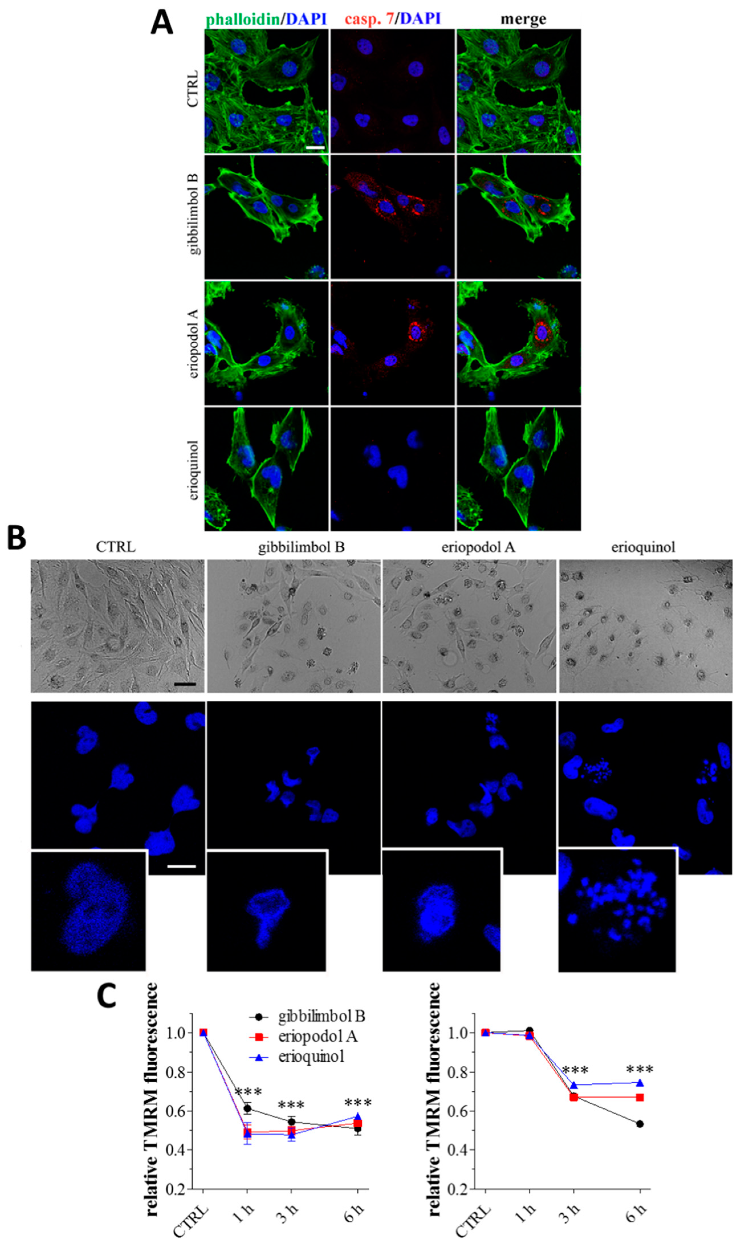 Cancers 11 01336 g007