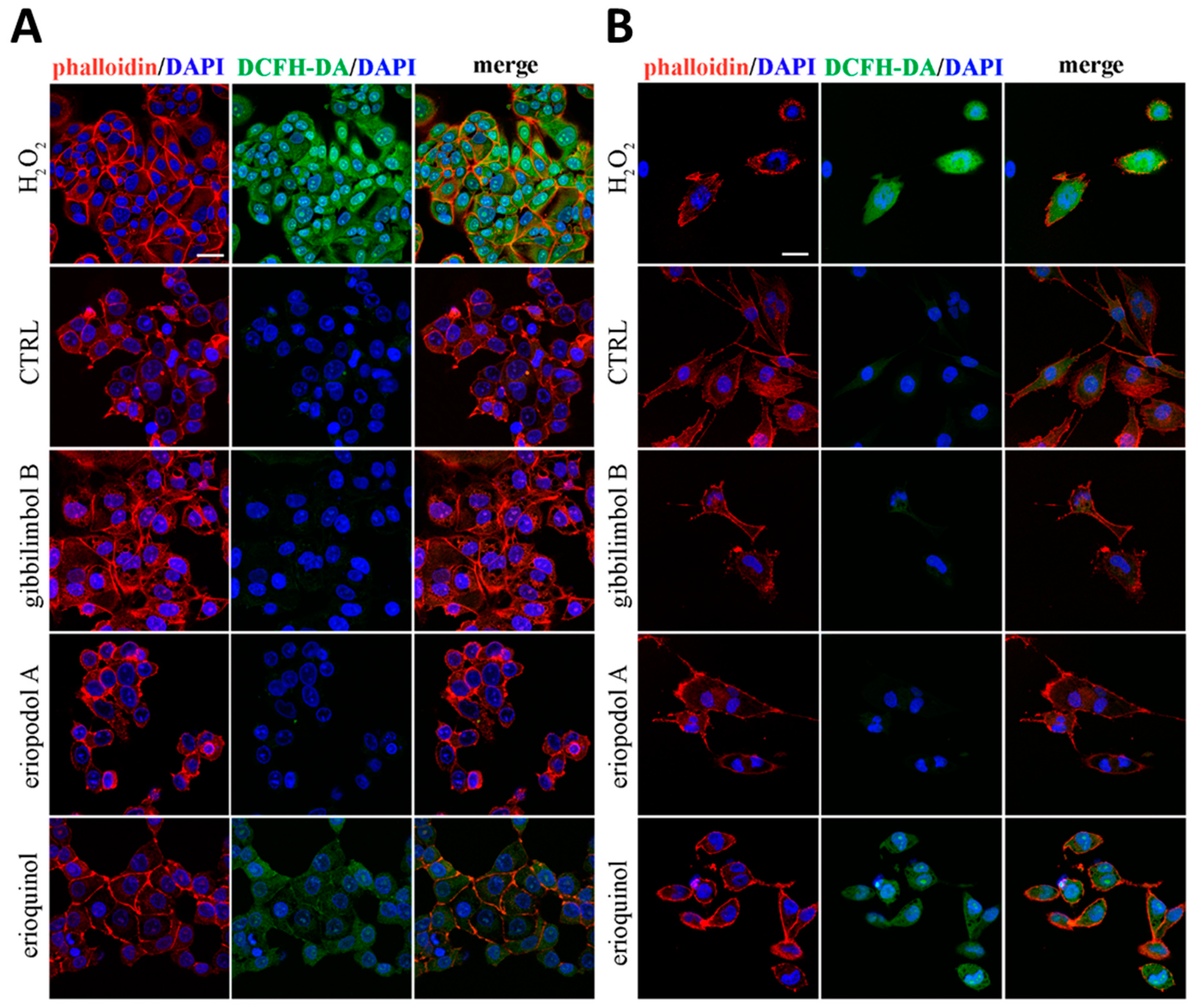 Cancers 11 01336 g009