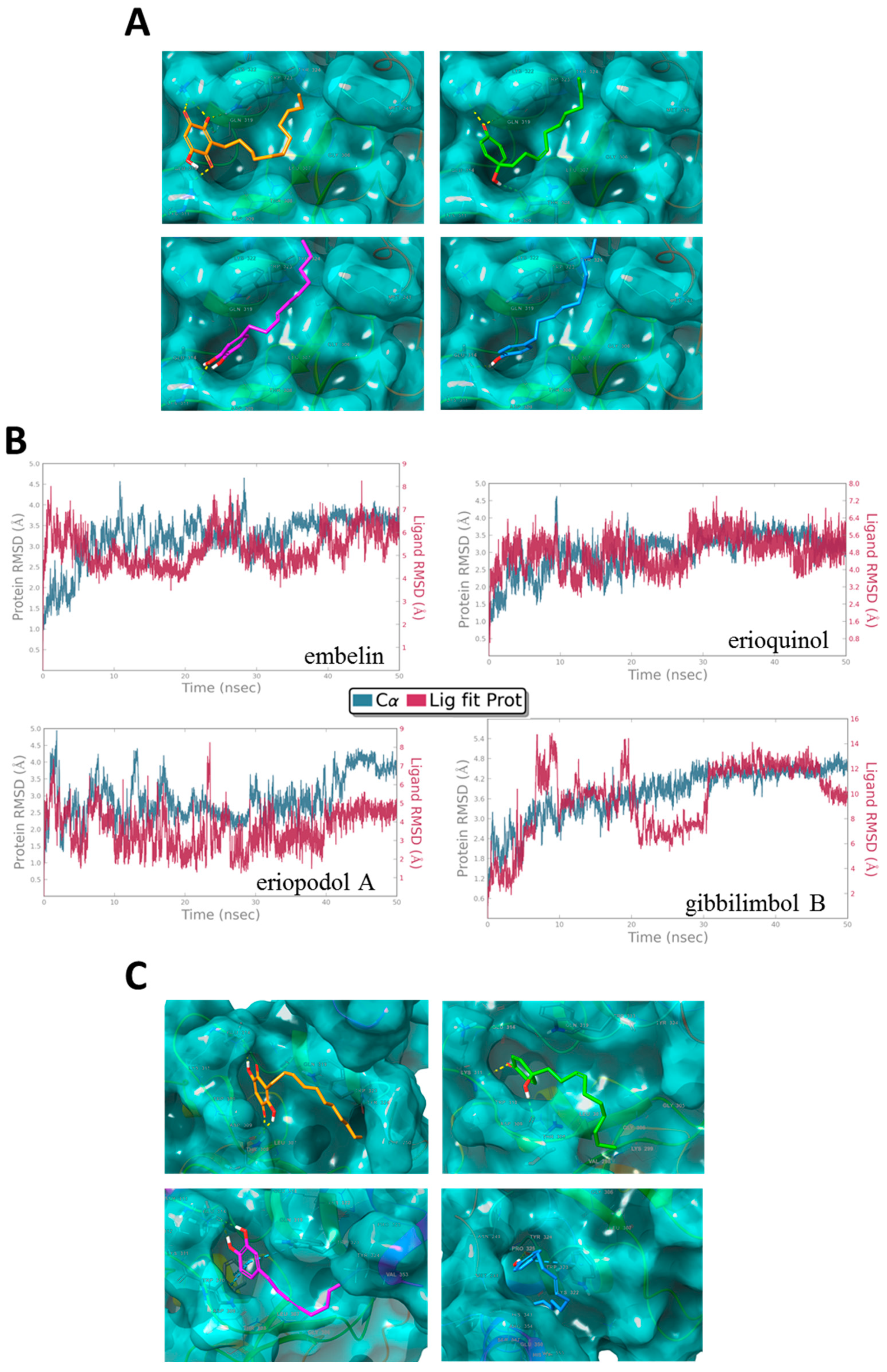 Cancers 11 01336 g011