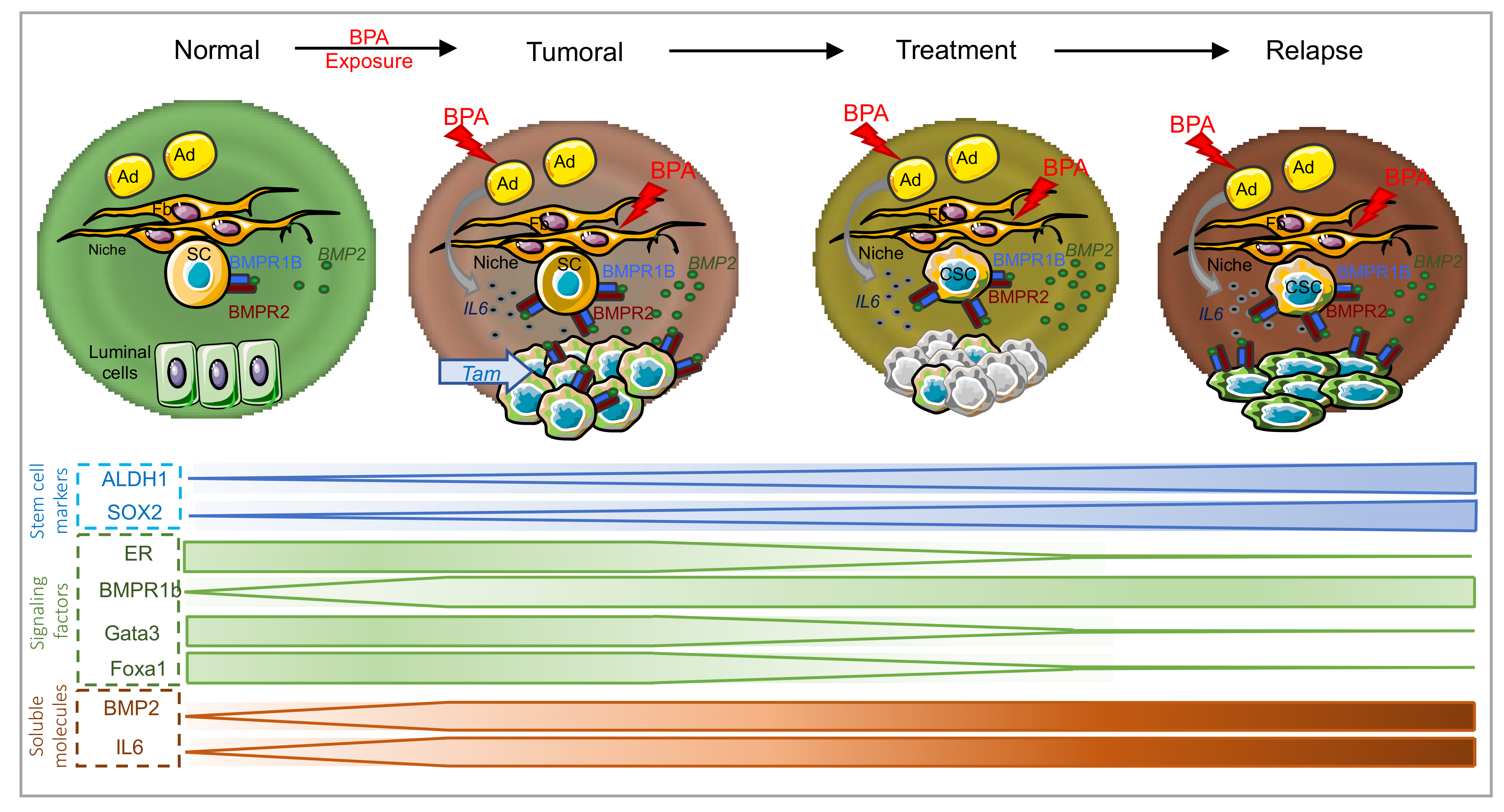 Cancers 11 01351 g002