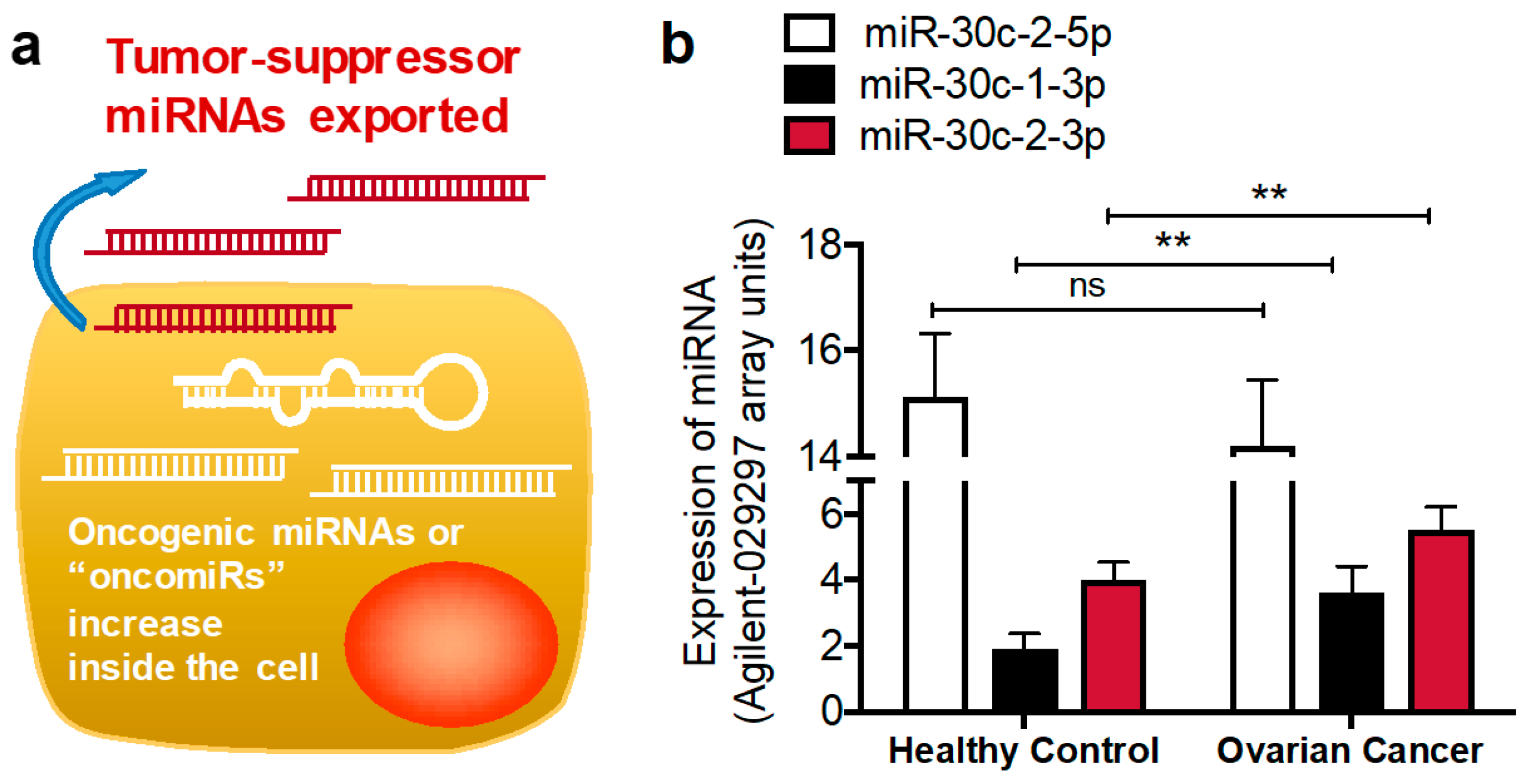 Cancers 11 01369 g002 Cancers 11 01369 g002