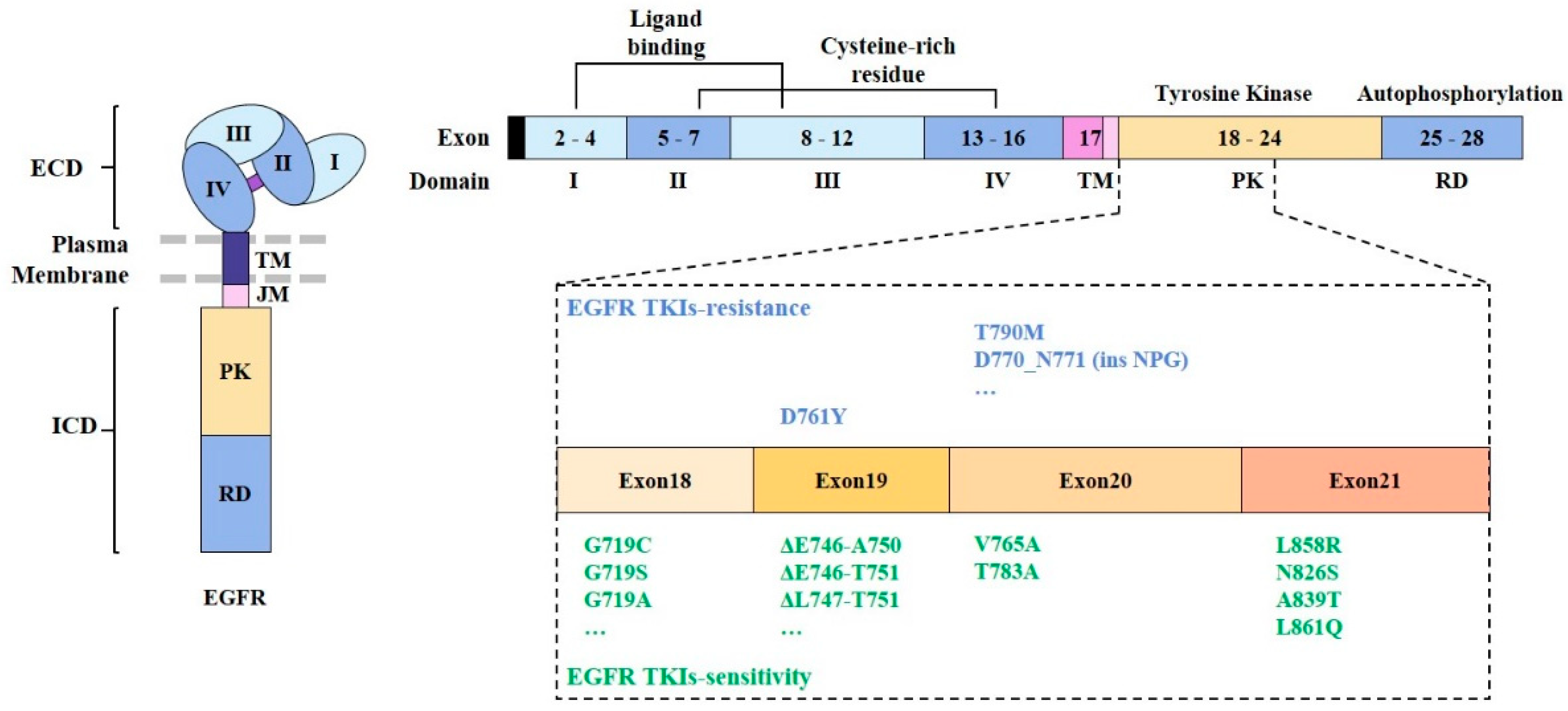 Cancers 11 01374 g002