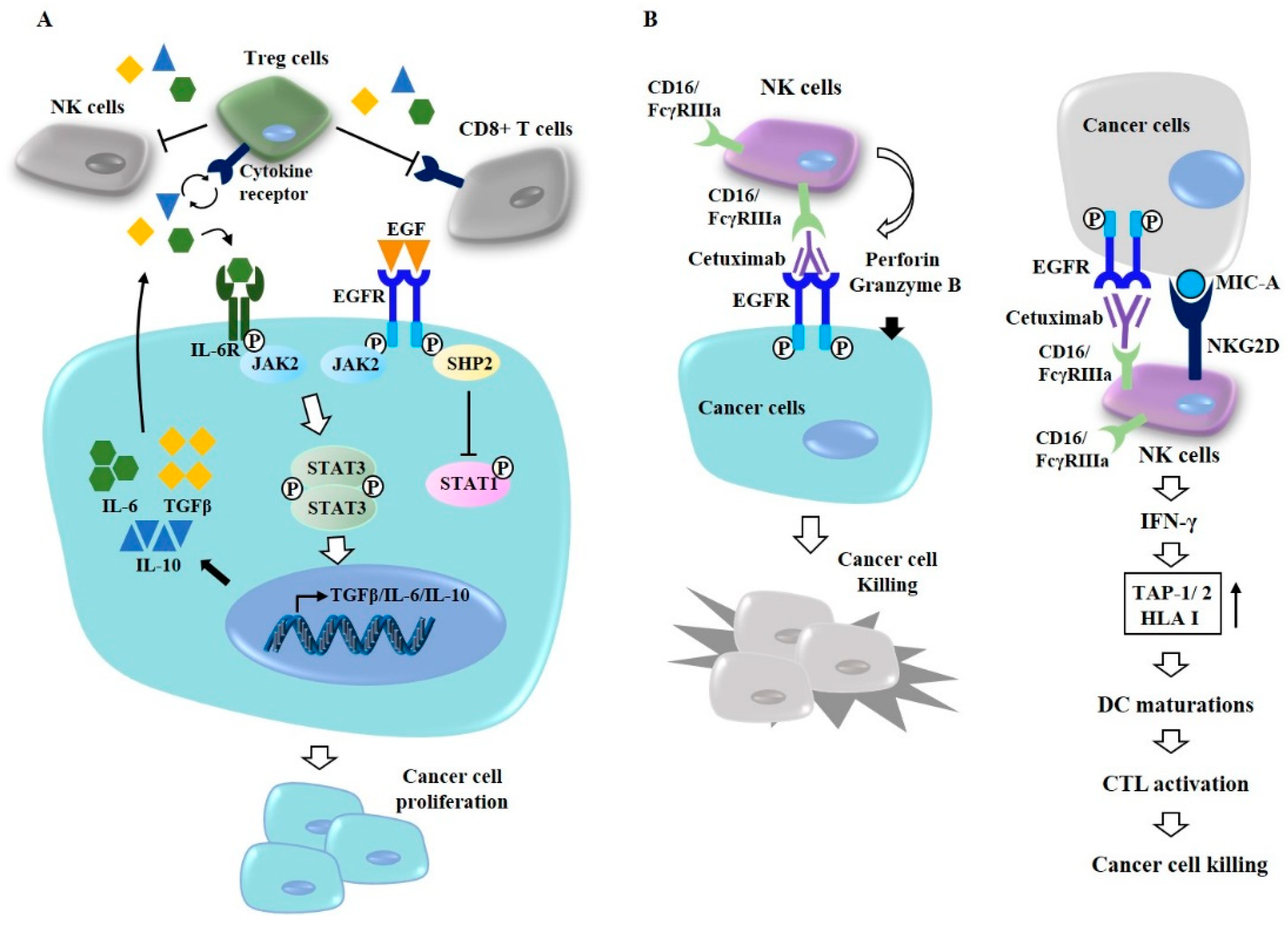 Cancers 11 01374 g005
