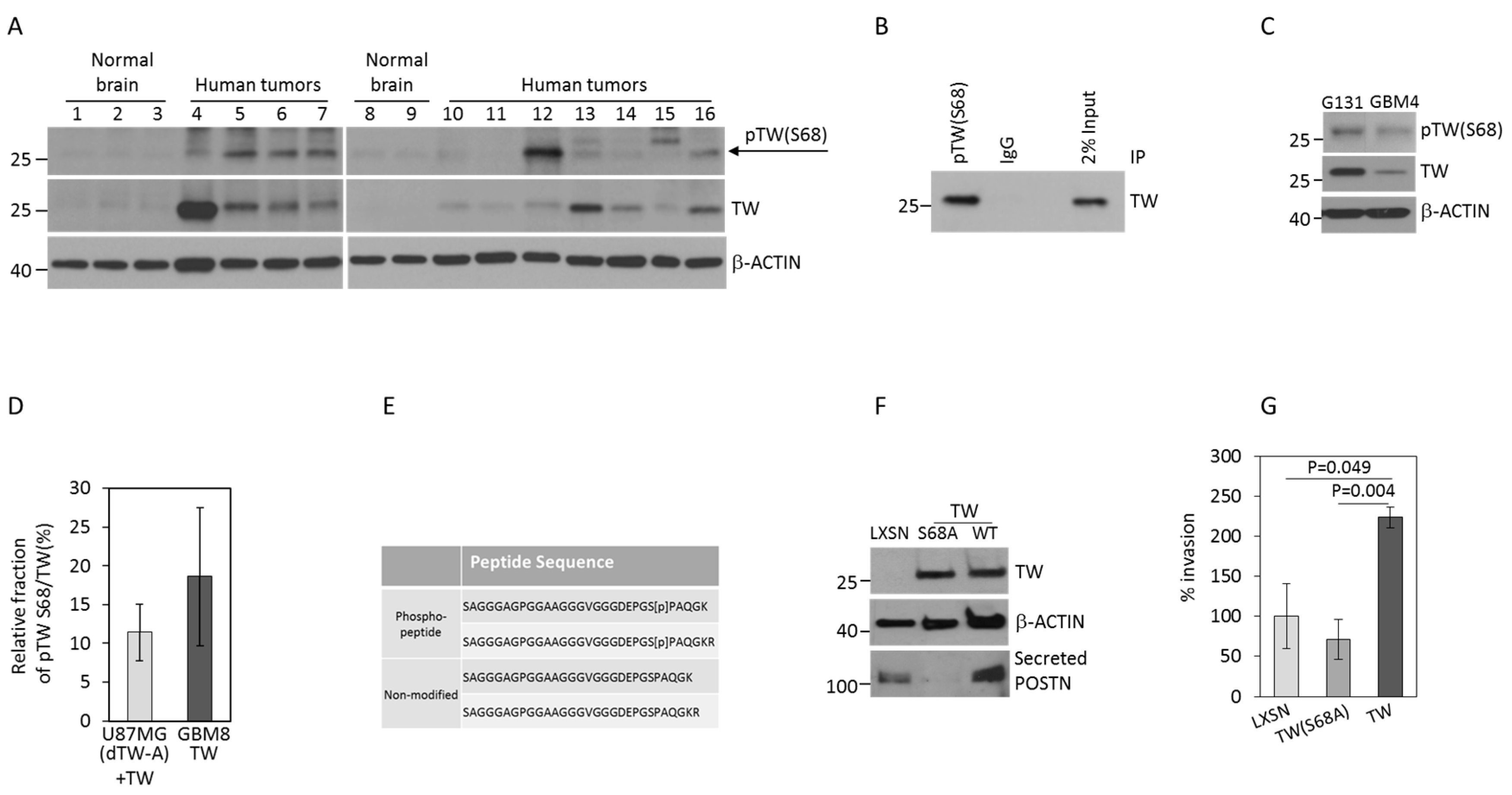 Cancers 11 01392 g001 Cancers 11 01392 g001