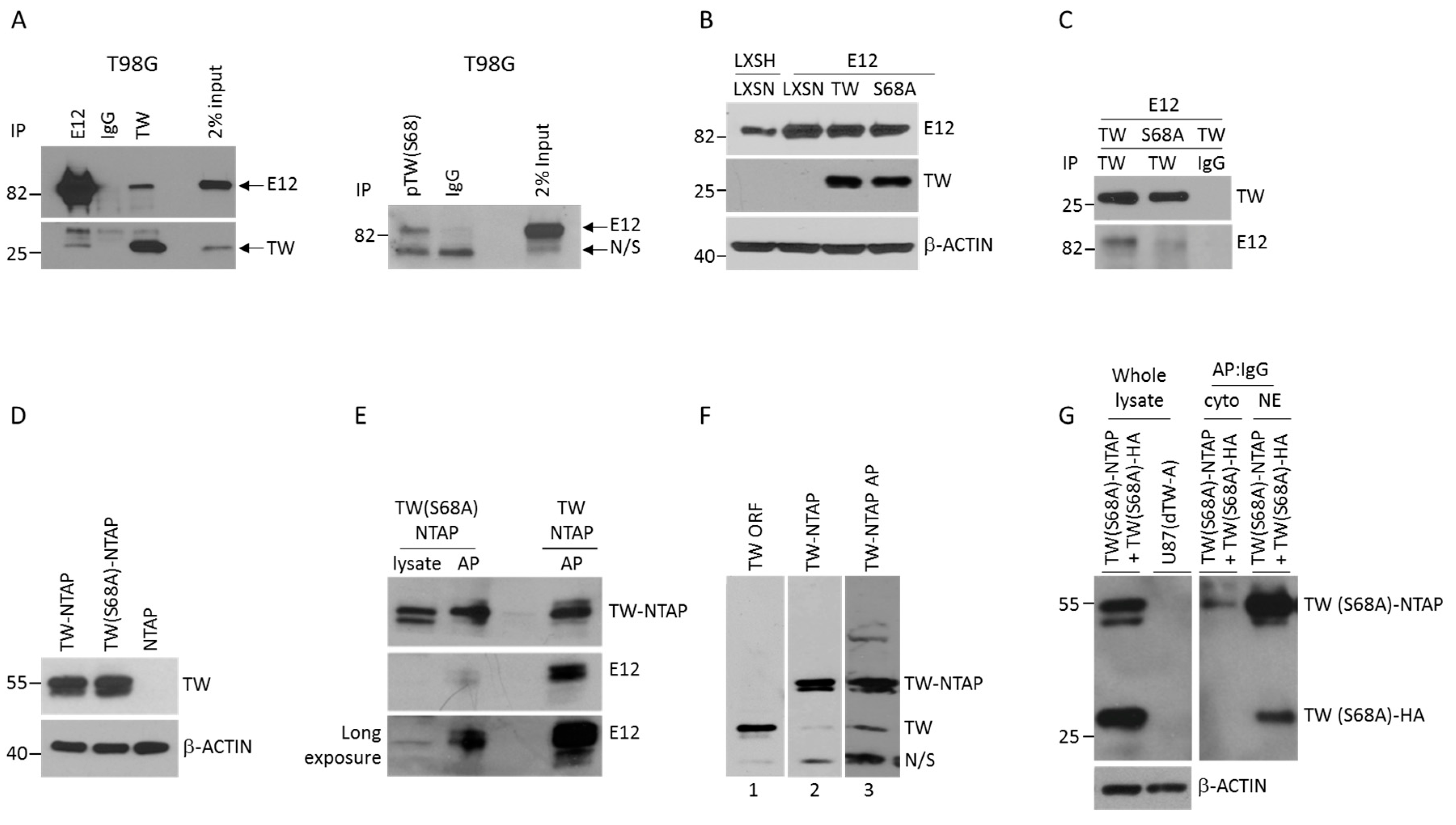 Cancers 11 01392 g002 Cancers 11 01392 g002