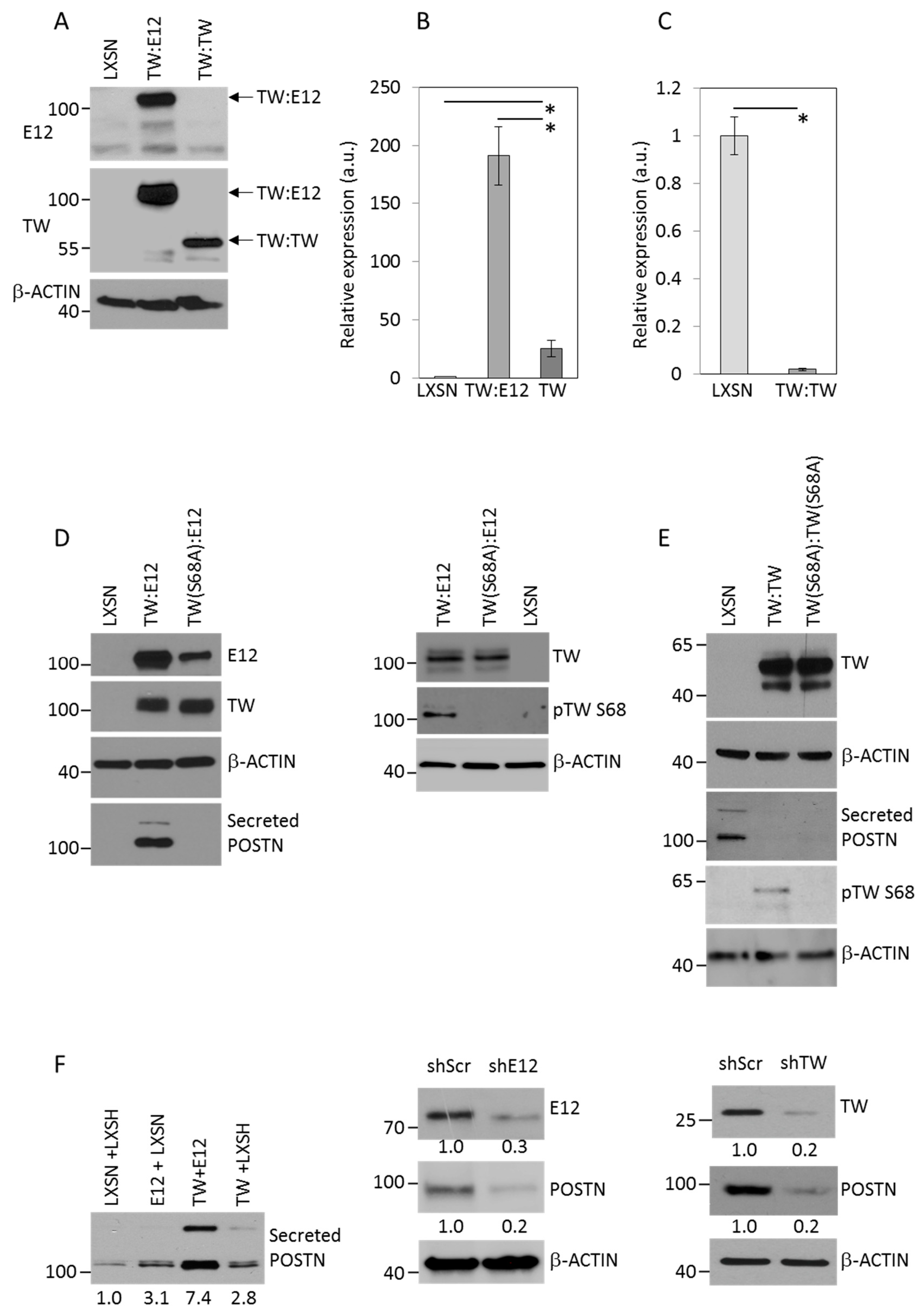 Cancers 11 01392 g003 Cancers 11 01392 g003