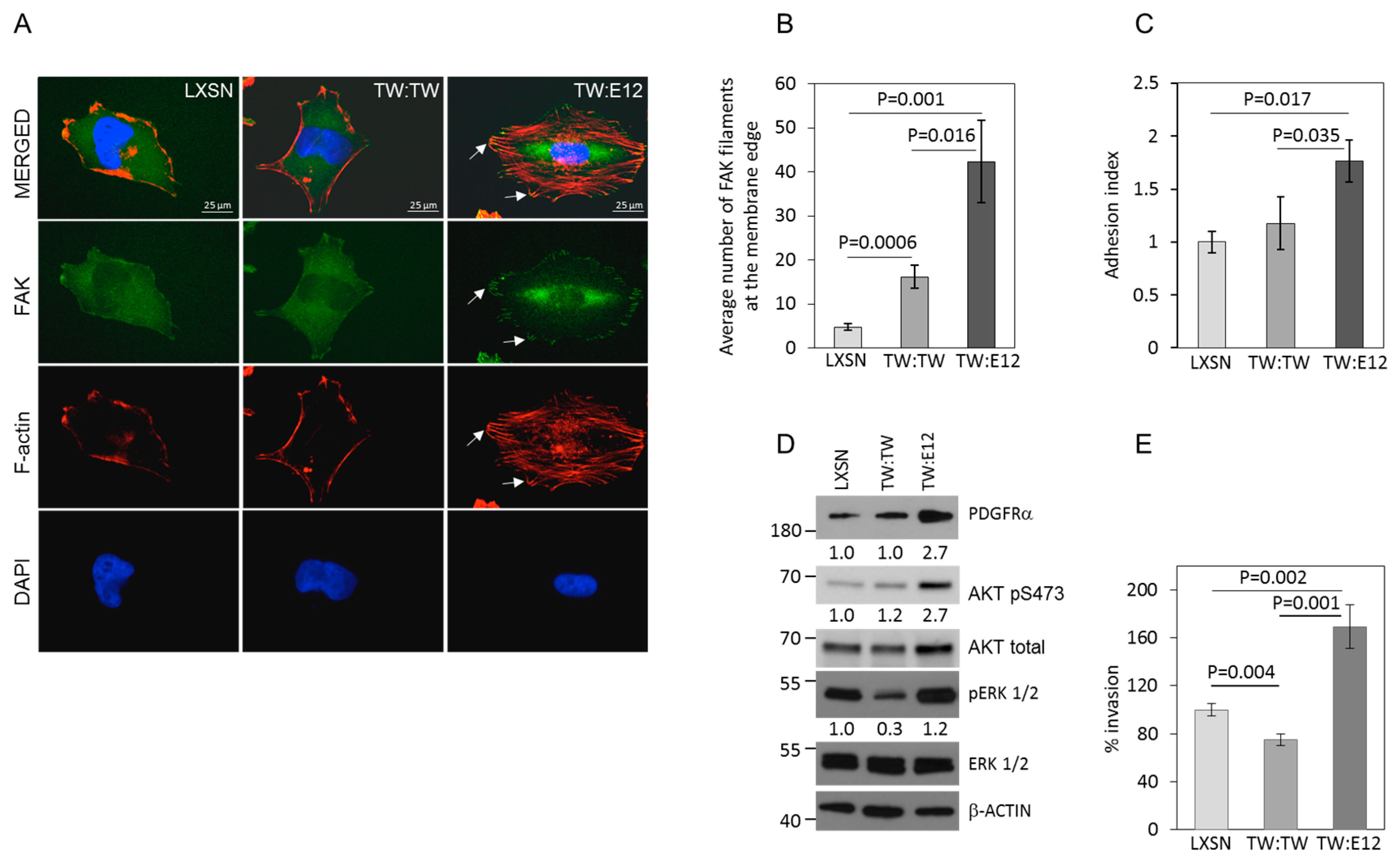 Cancers 11 01392 g004 Cancers 11 01392 g004