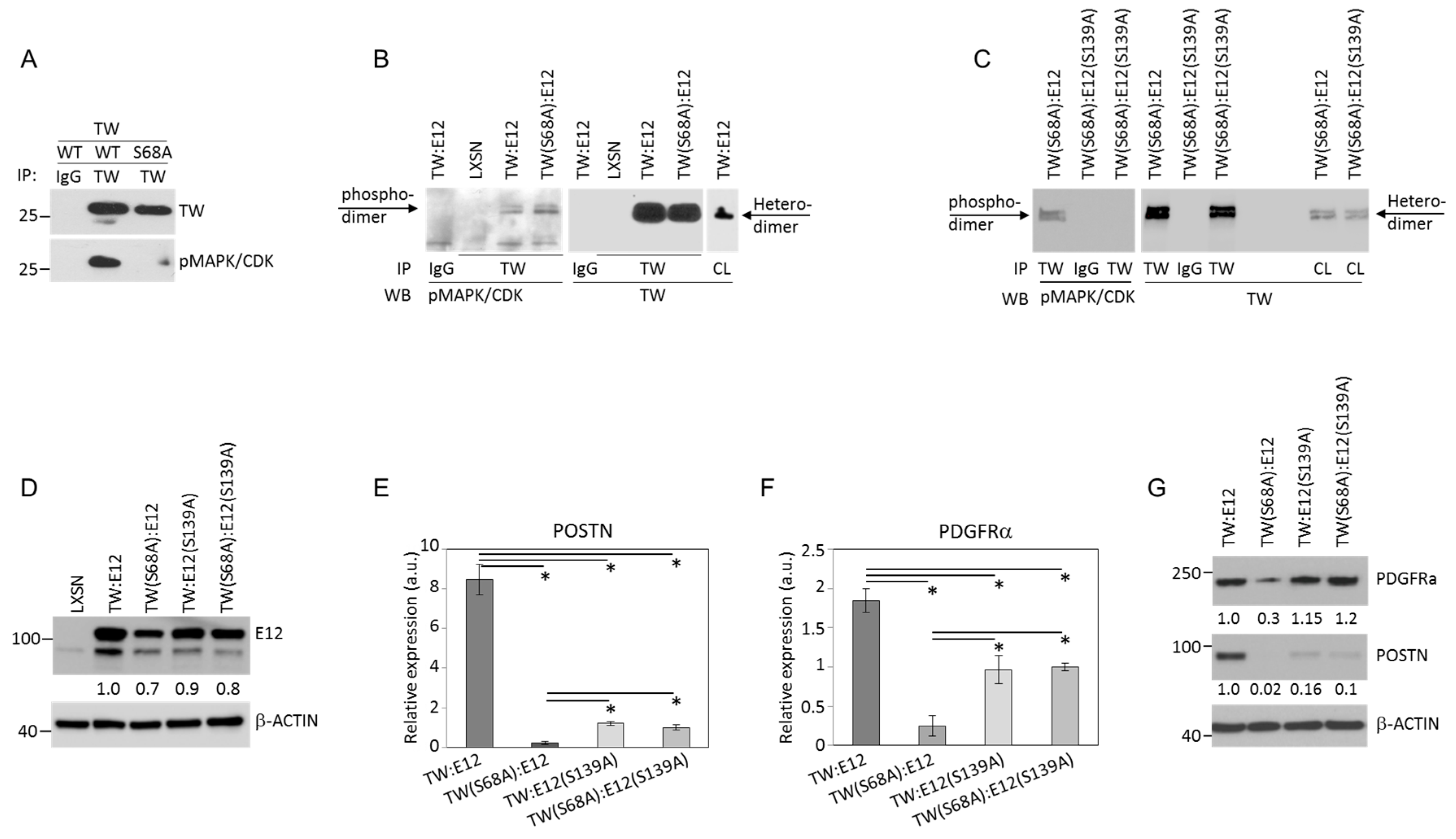 Cancers 11 01392 g005 Cancers 11 01392 g005