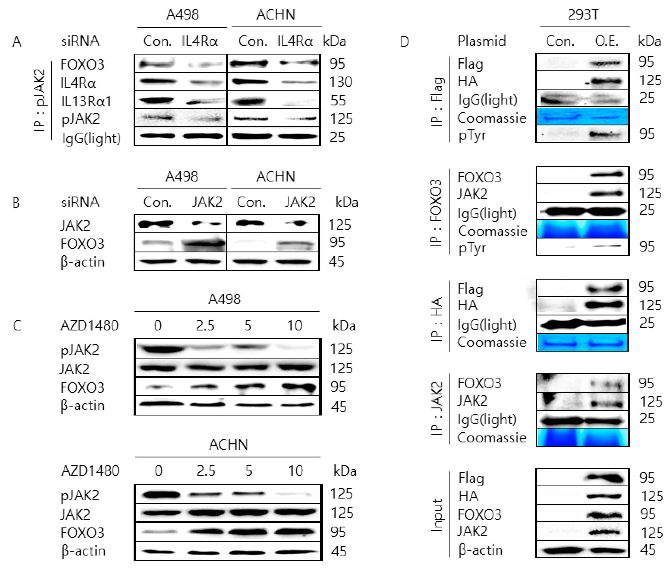 Cancers 11 01394 g003