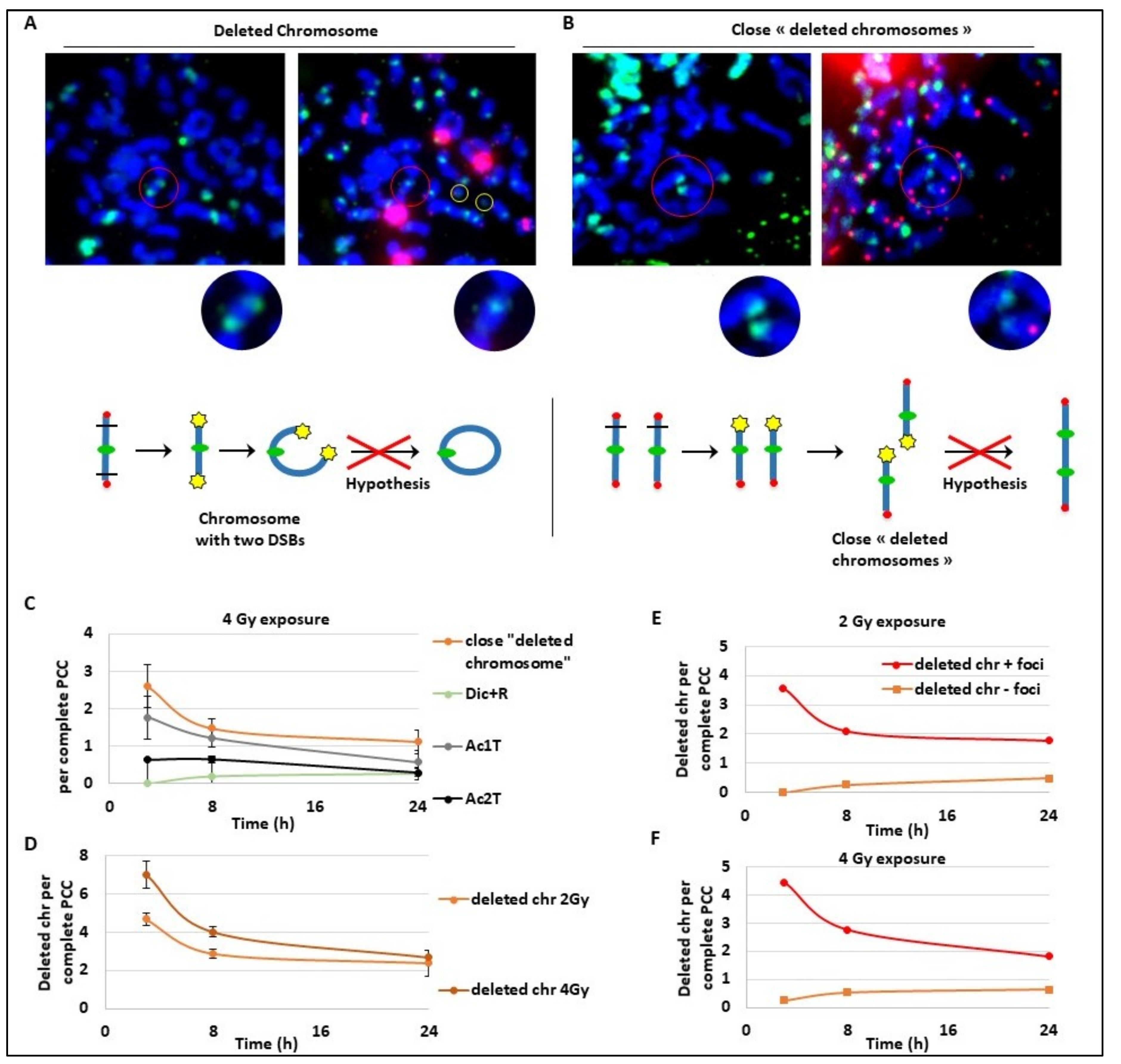 Cancers 11 01397 g004 Cancers 11 01397 g004