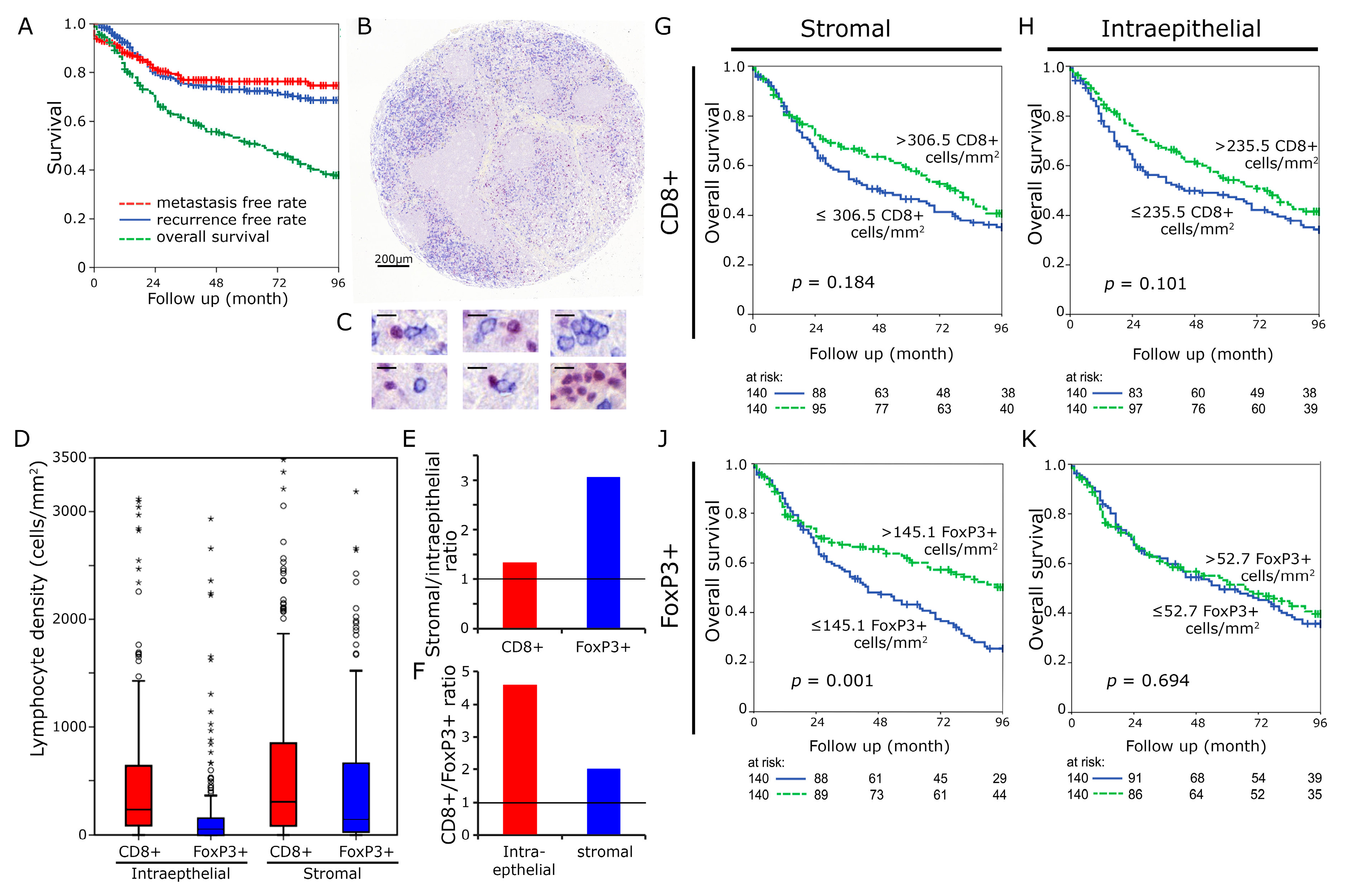 Cancers 11 01398 g001