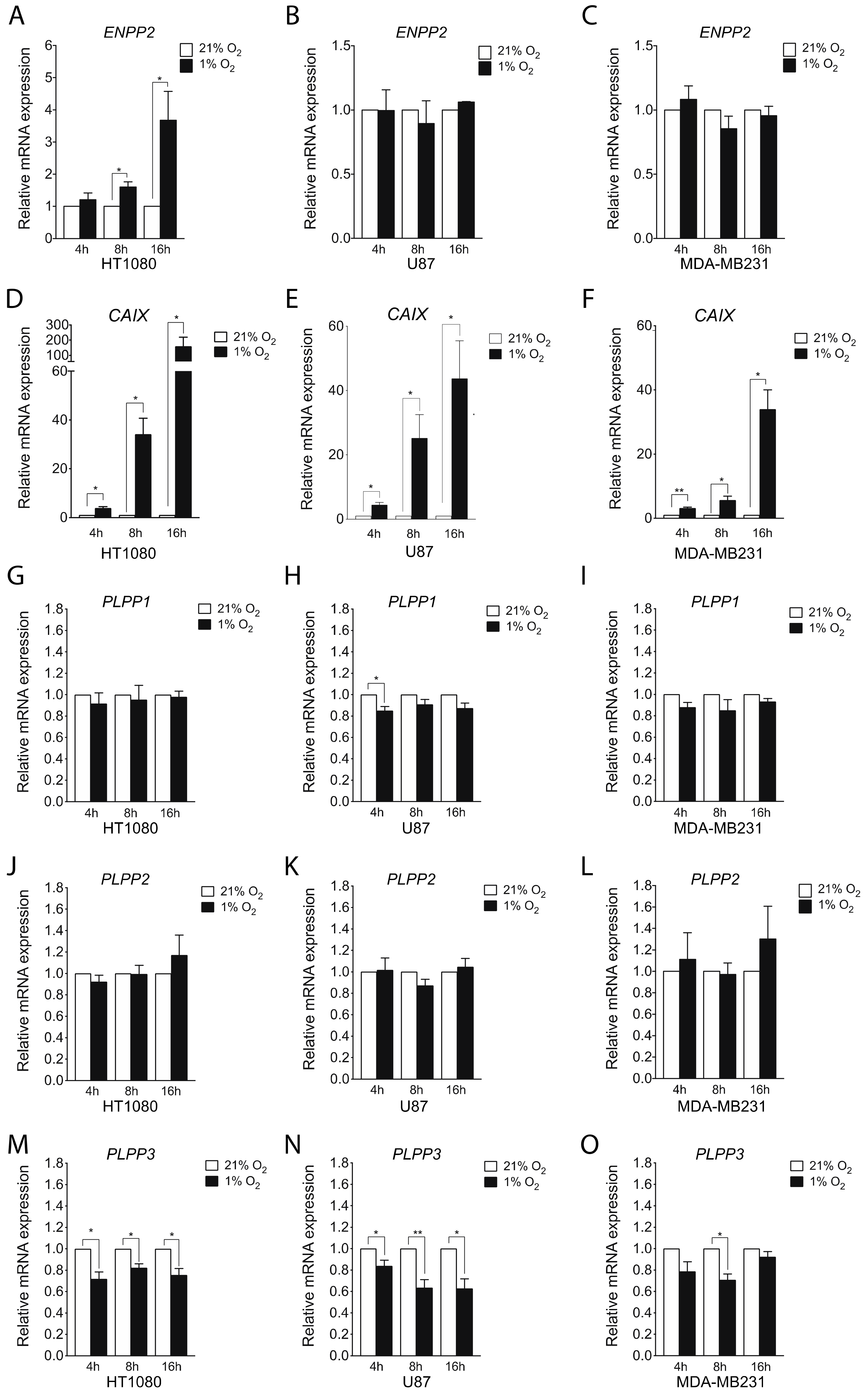 Cancers 11 01403 g001 Cancers 11 01403 g001
