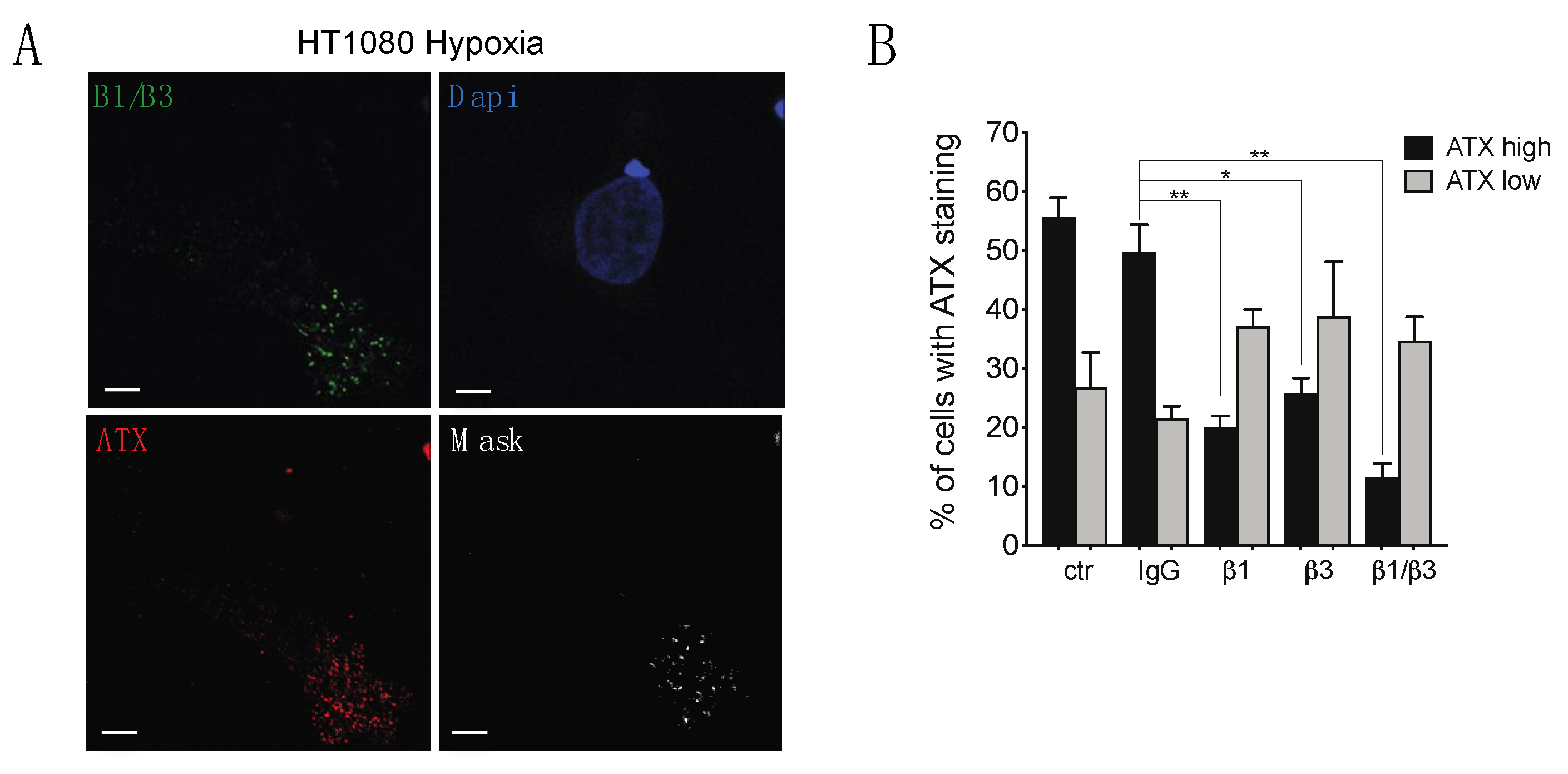 Cancers 11 01403 g008 Cancers 11 01403 g008