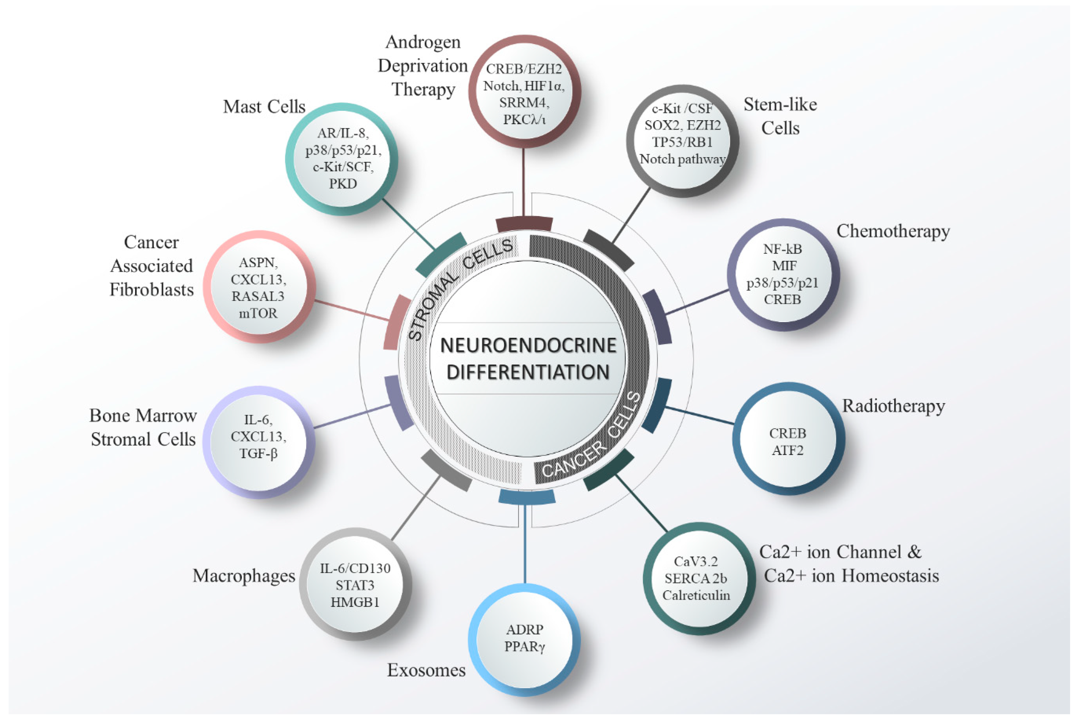 Cancers 11 01405 g002