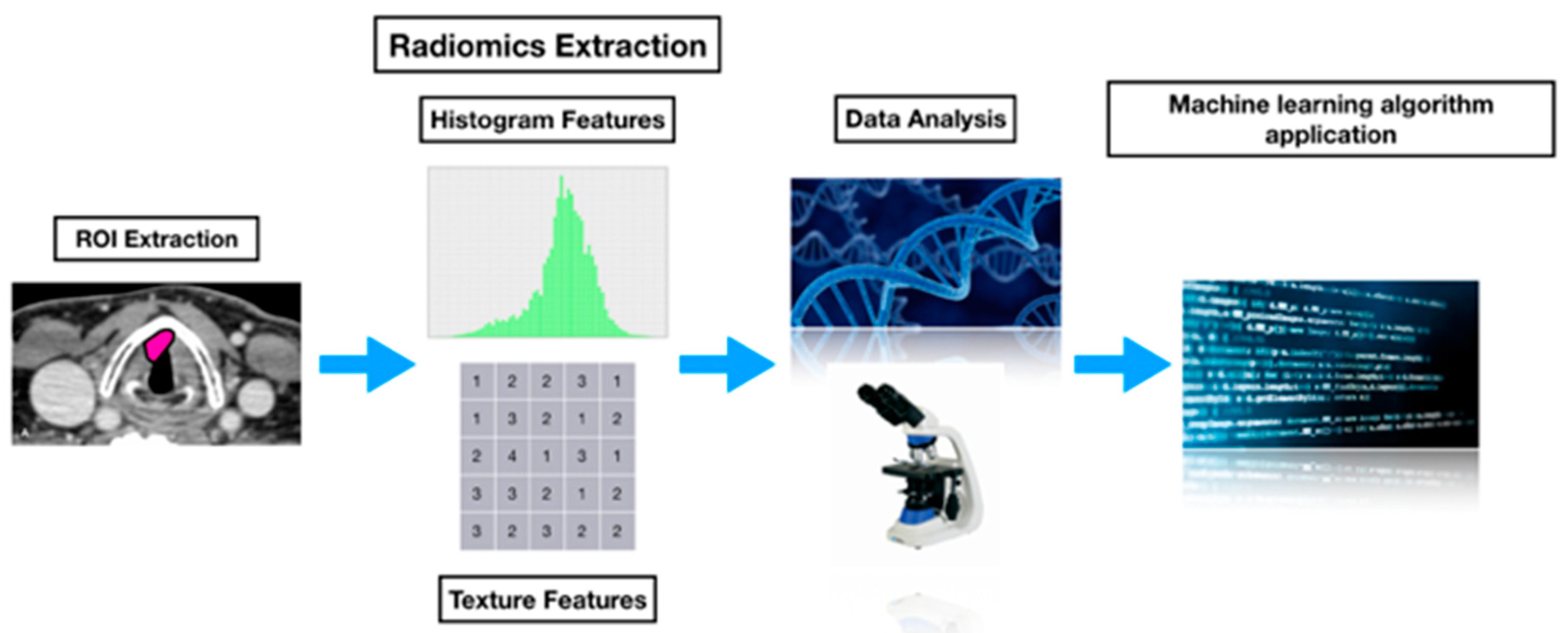 Cancers 11 01409 g002