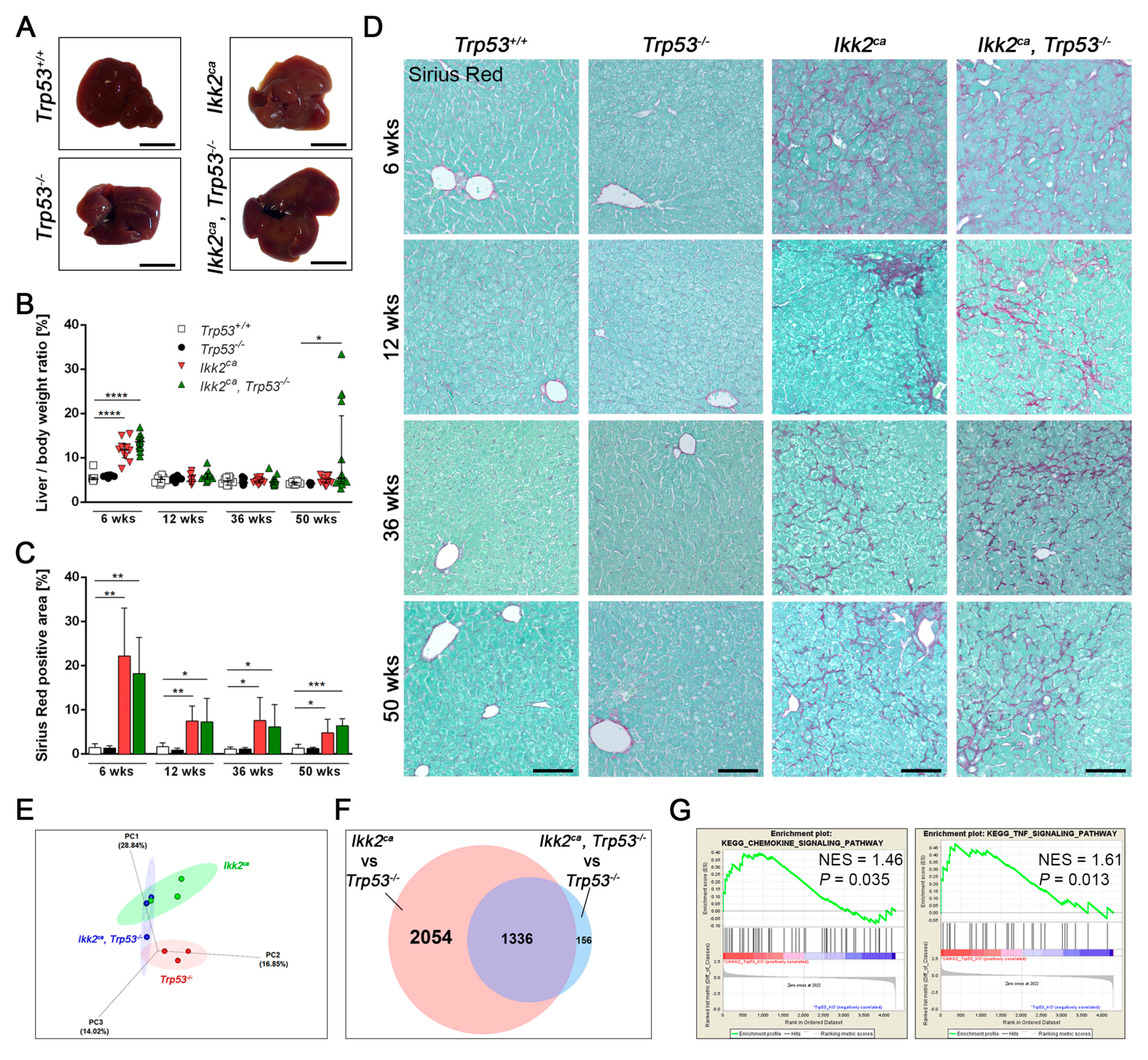 Cancers 11 01410 g002 Cancers 11 01410 g002