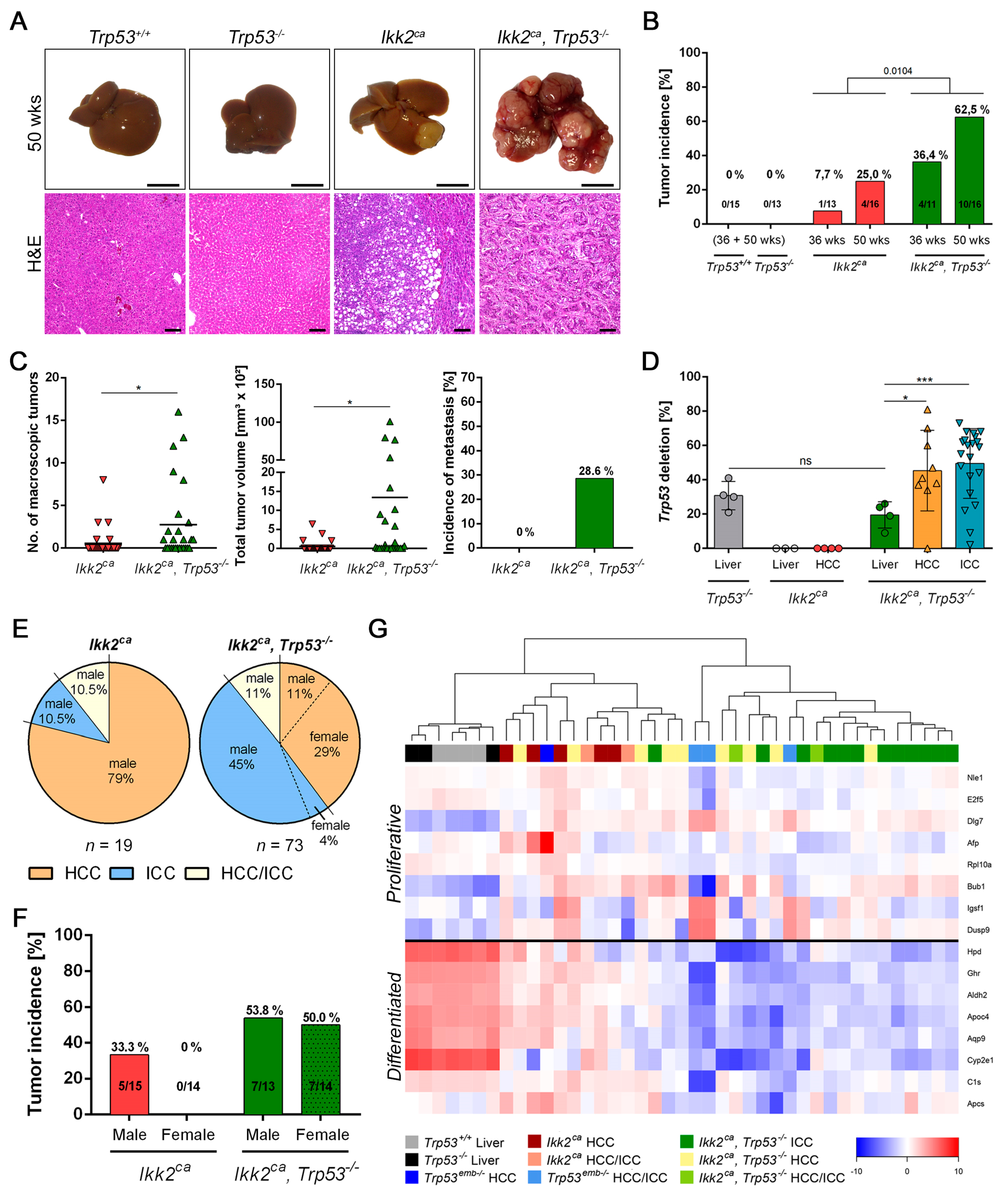 Cancers 11 01410 g003 Cancers 11 01410 g003