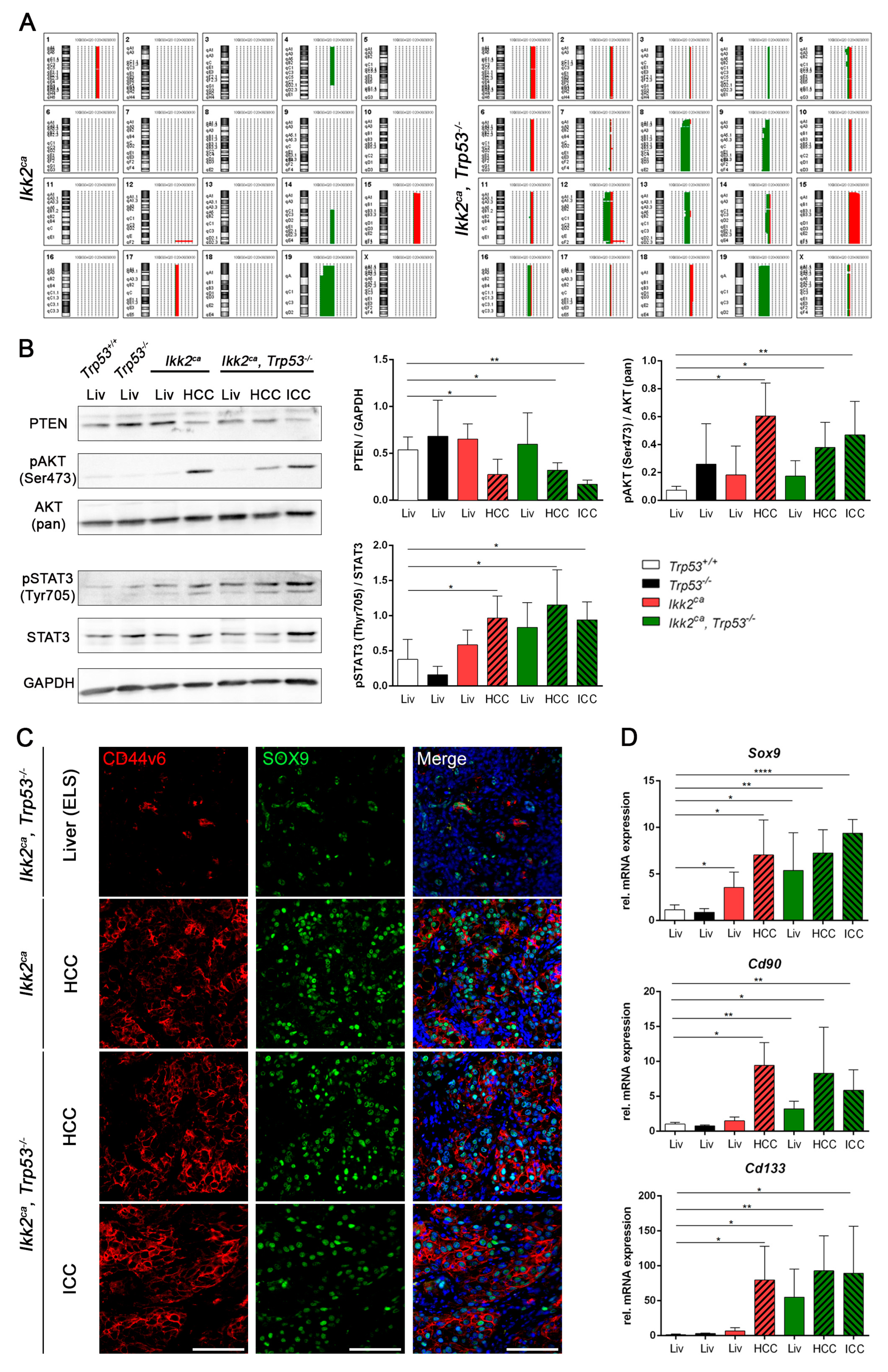 Cancers 11 01410 g004 Cancers 11 01410 g004