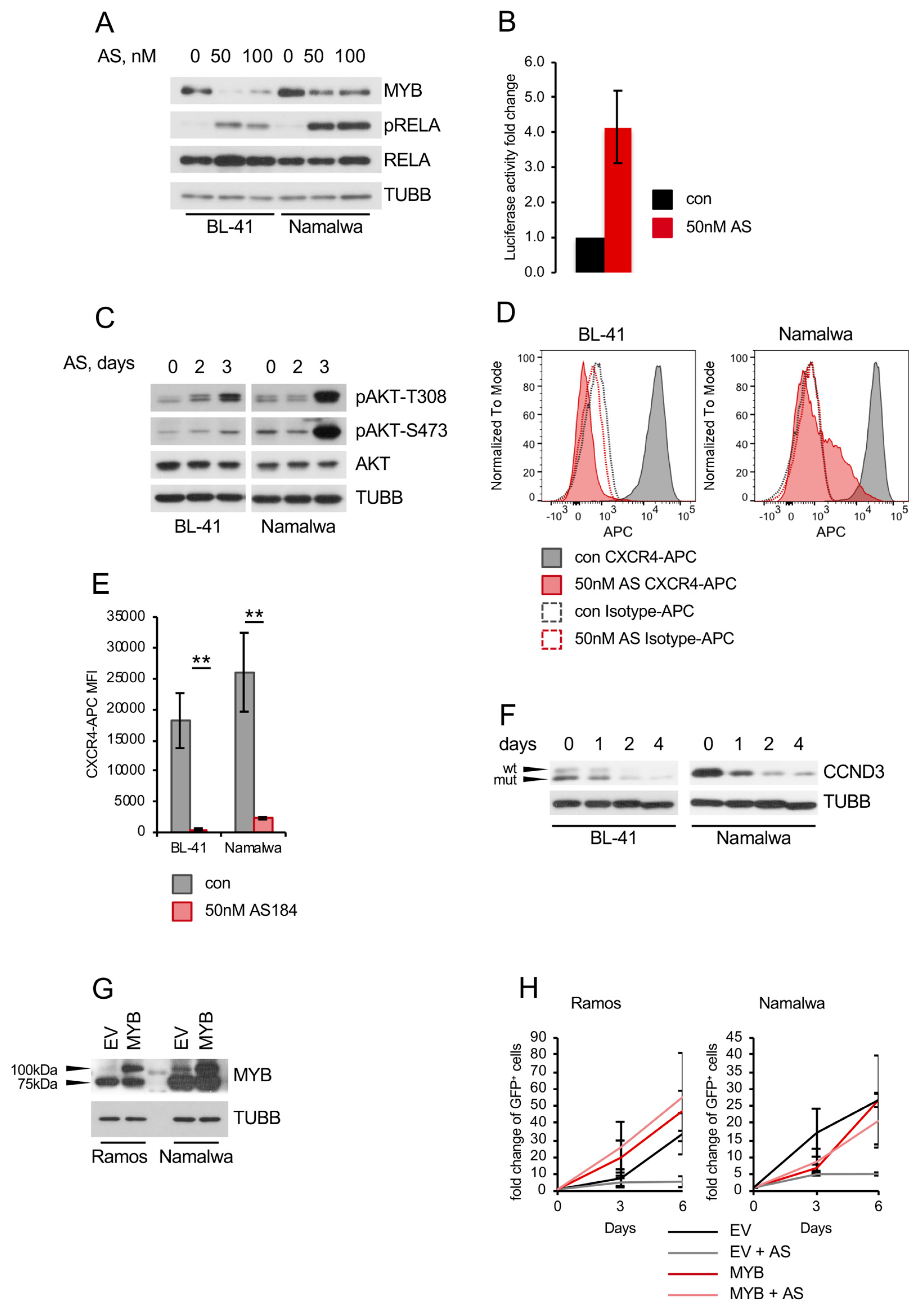 Cancers 11 01427 g005