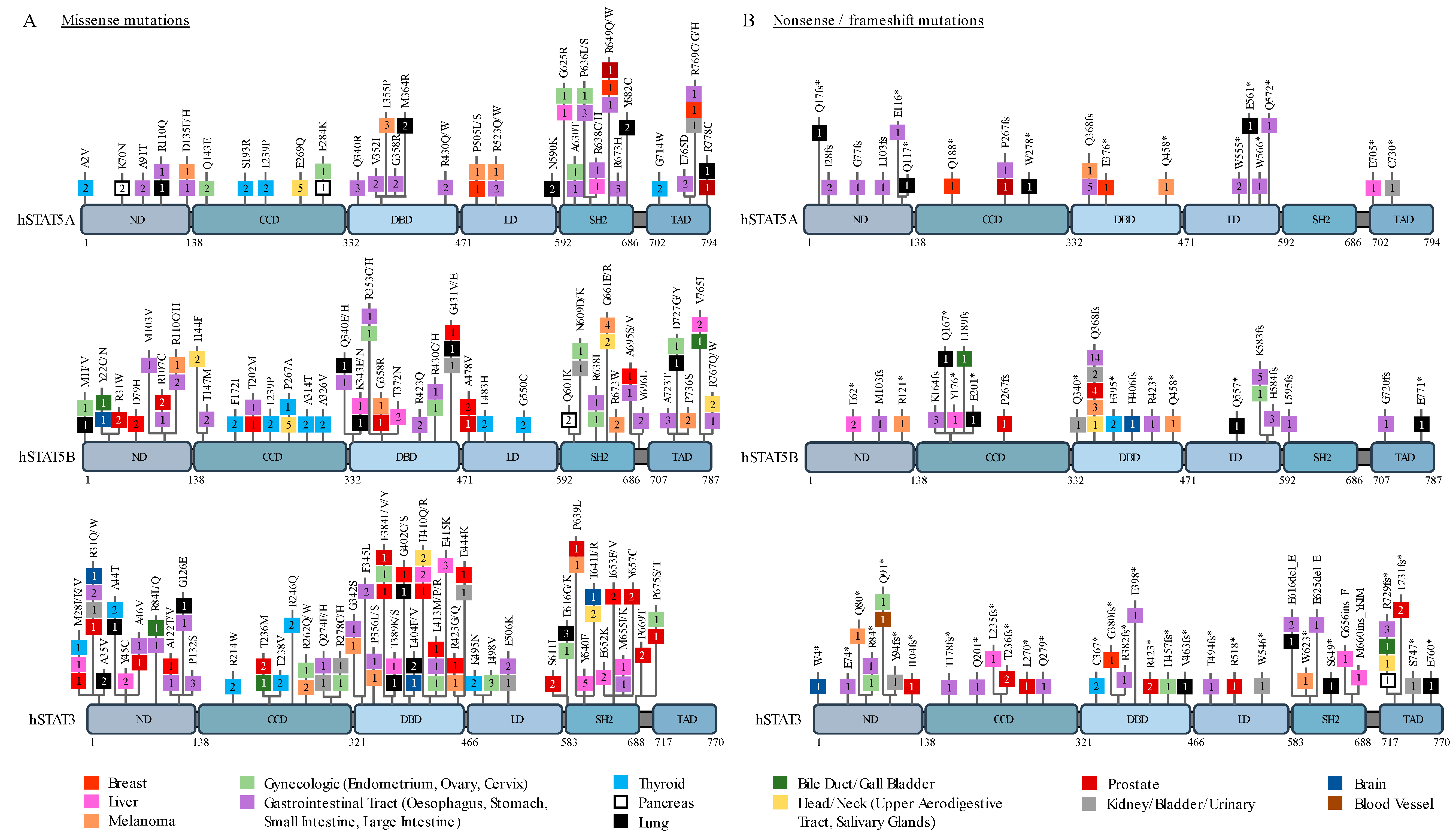 Cancers 11 01428 g001