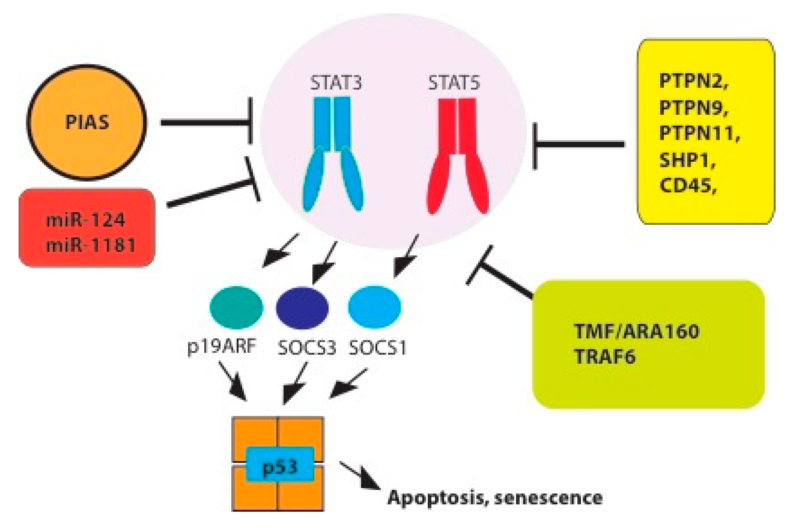 Cancers 11 01428 g003