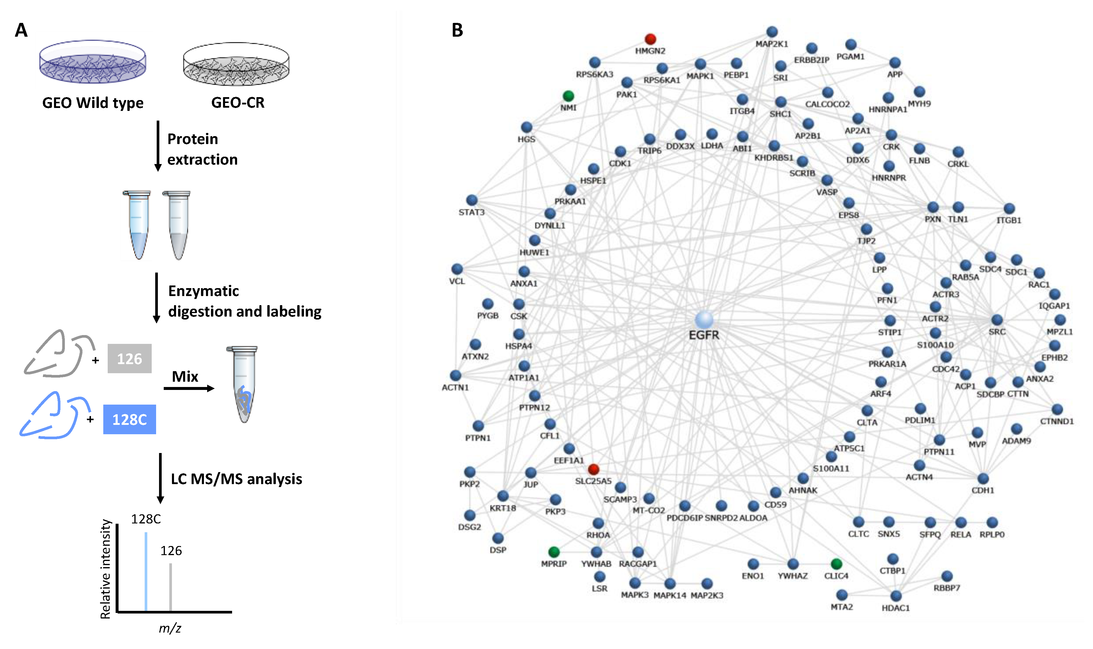 Cancers 11 01430 g001