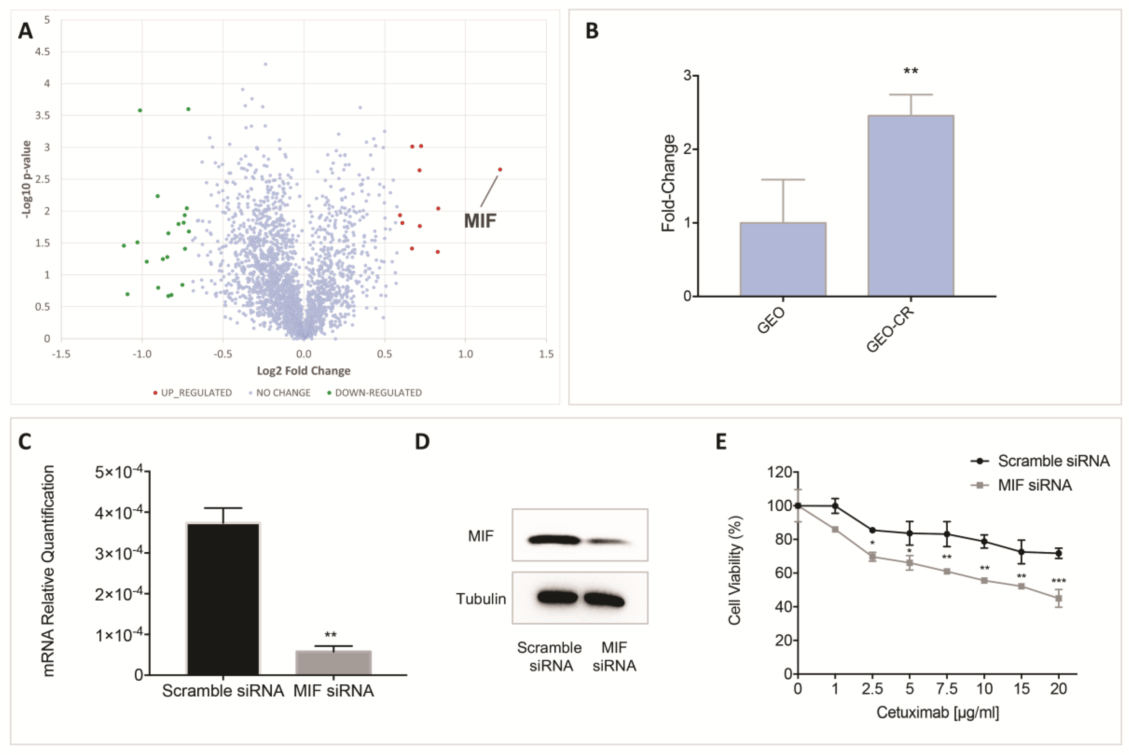 Cancers 11 01430 g002