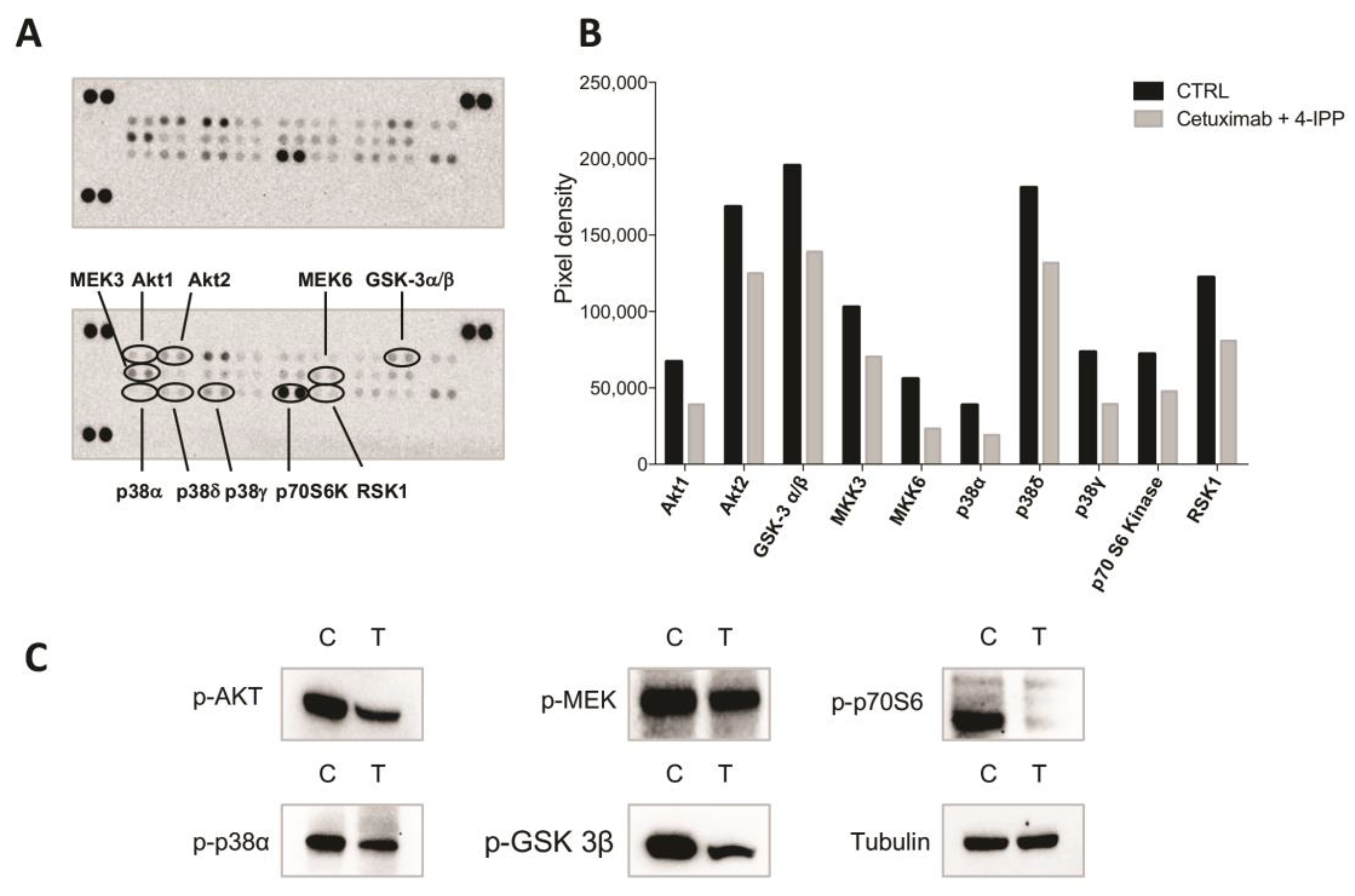 Cancers 11 01430 g005