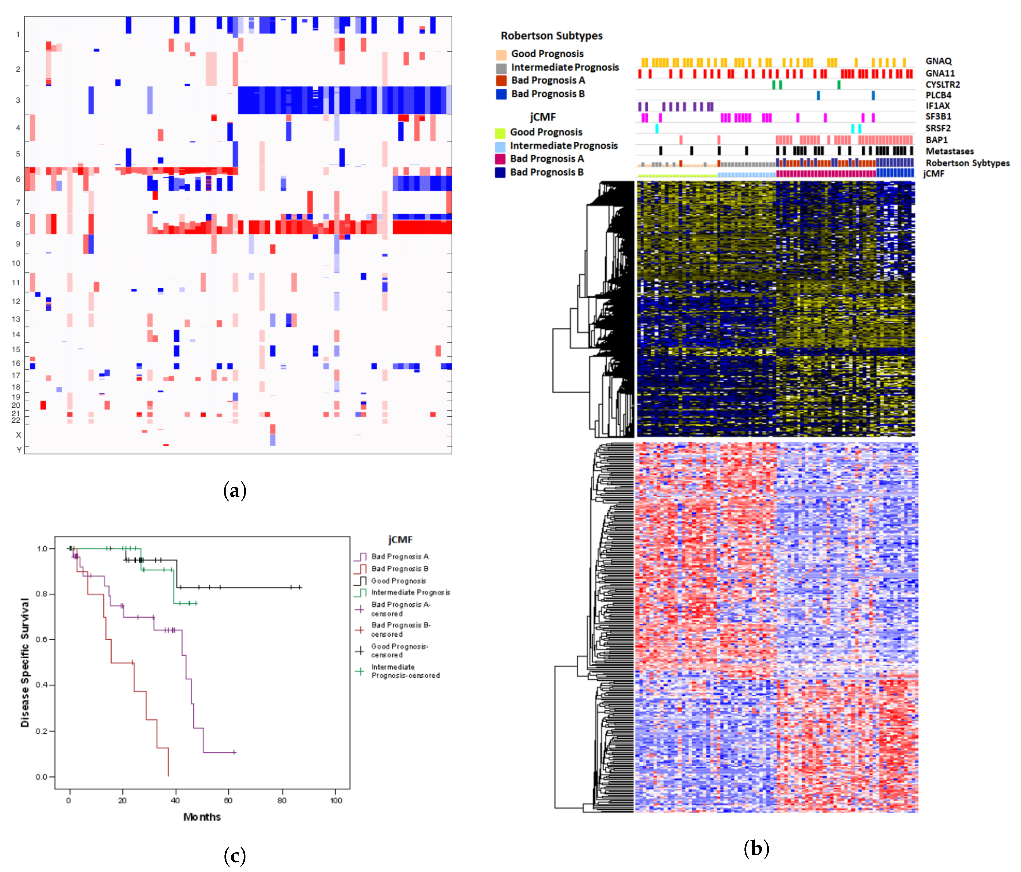 Cancers 11 01434 g002 Cancers 11 01434 g002