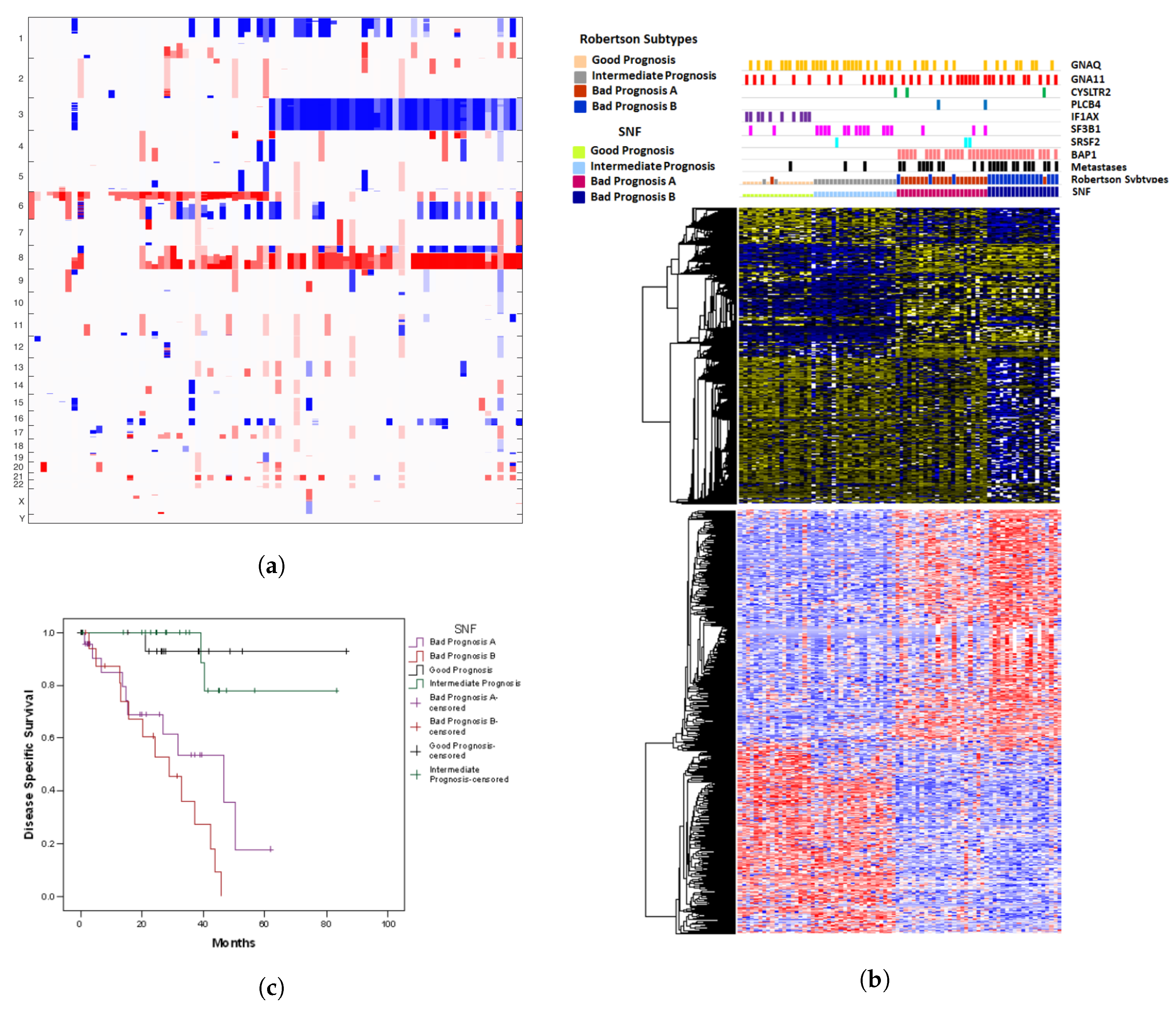 Cancers 11 01434 g003 Cancers 11 01434 g003