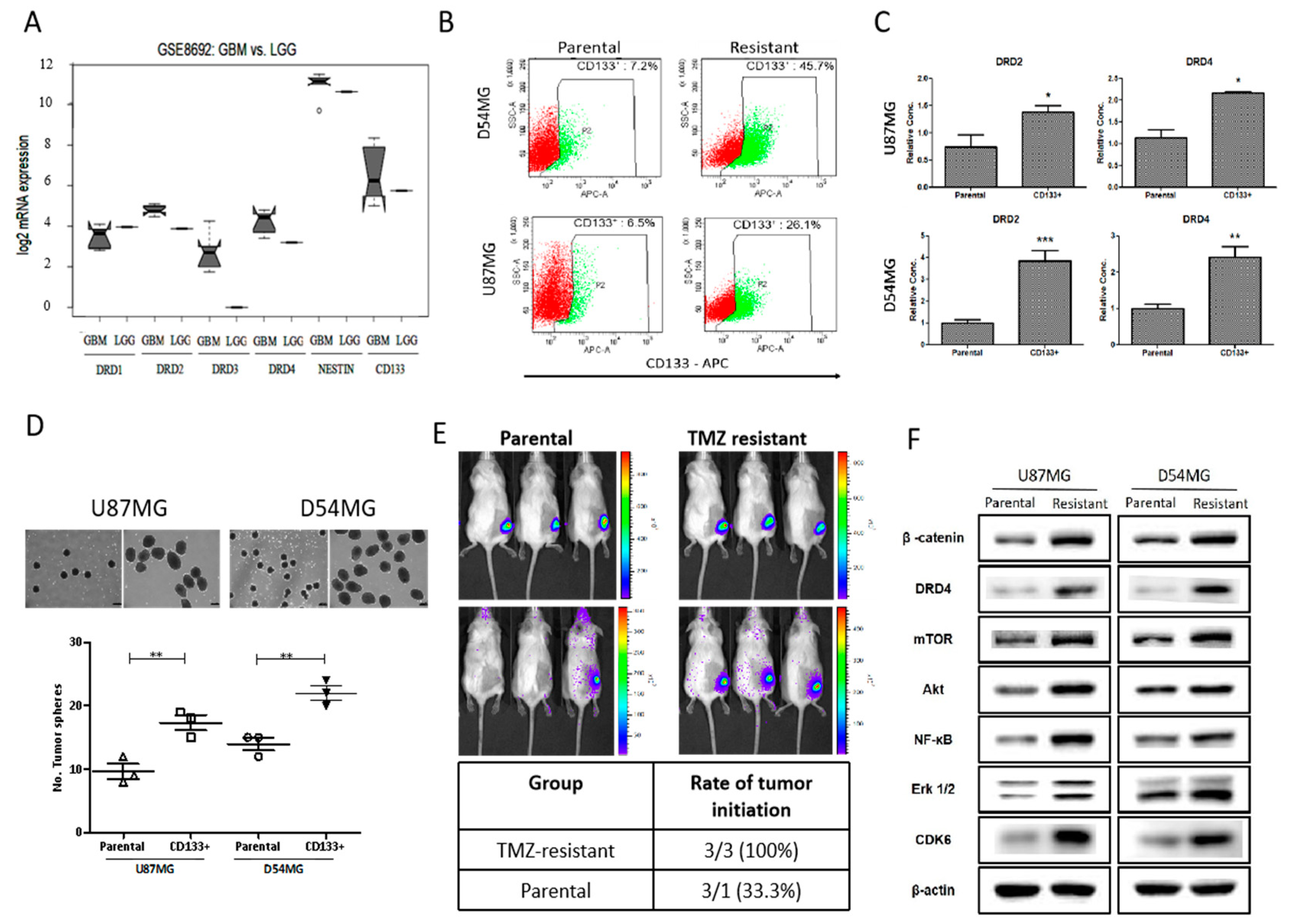 Cancers 11 01442 g002 Cancers 11 01442 g002
